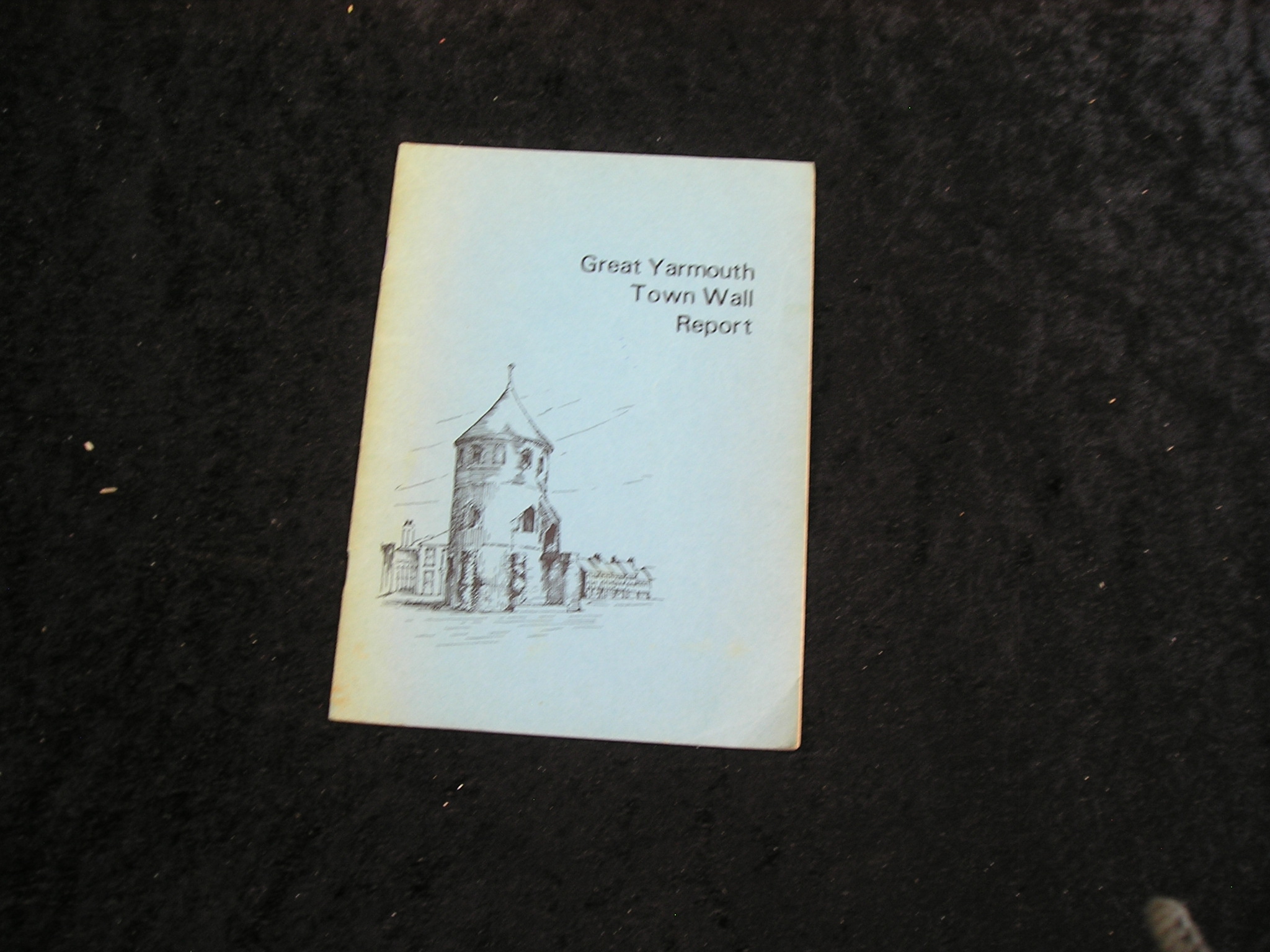 Image 0 of Great Yarmouth Town Wall Report