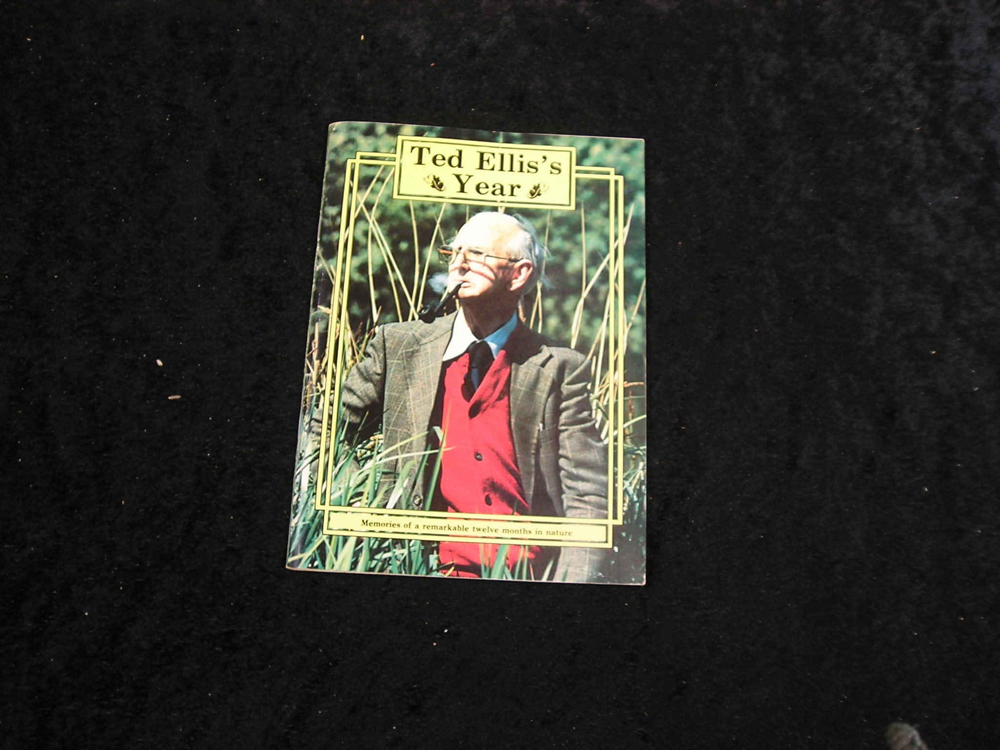 Image 0 of Ted Ellis's Year