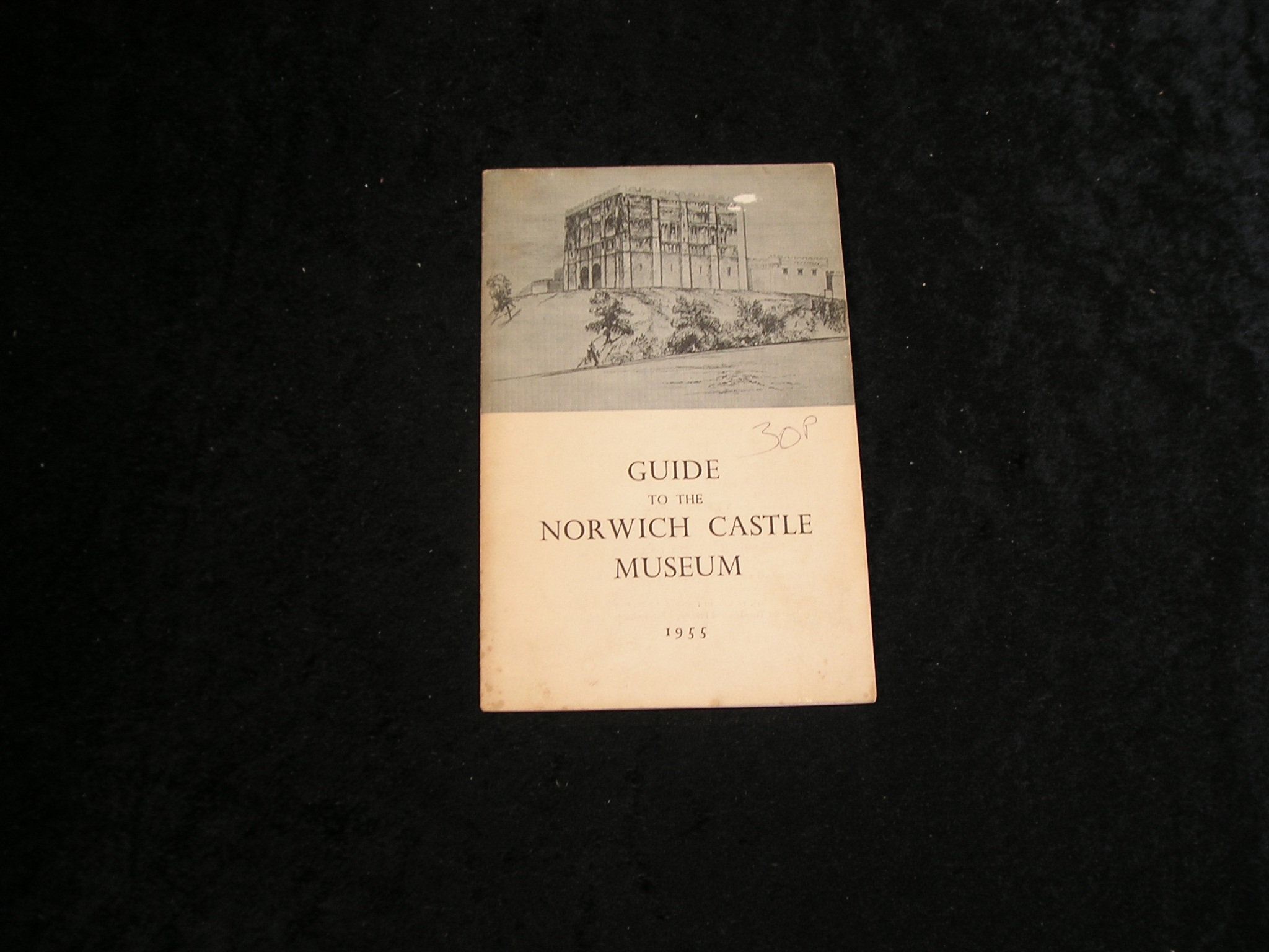 Image 0 of Guide to the Norwich Castle Museum
