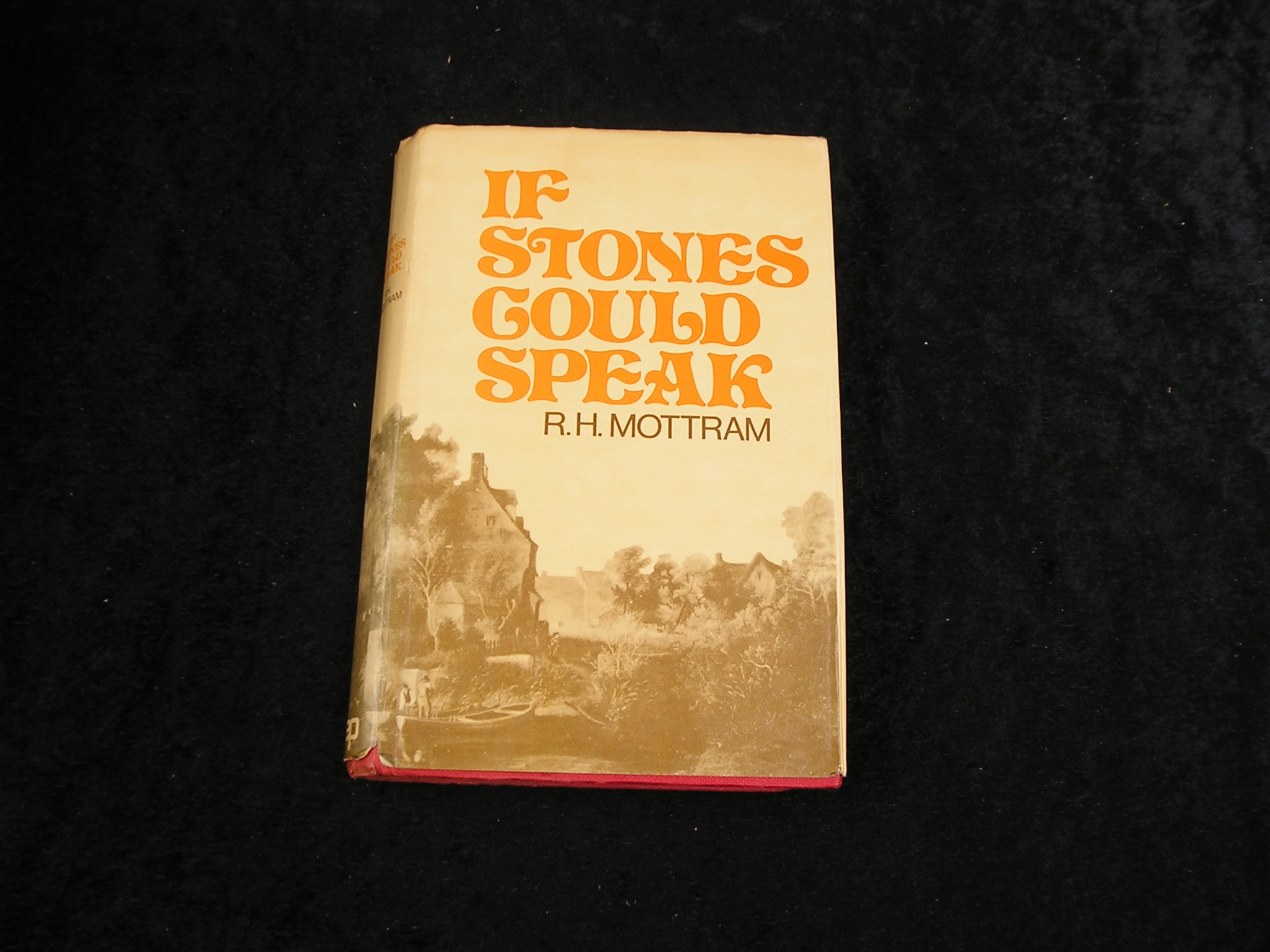 Image 0 of If Stones Could Speak