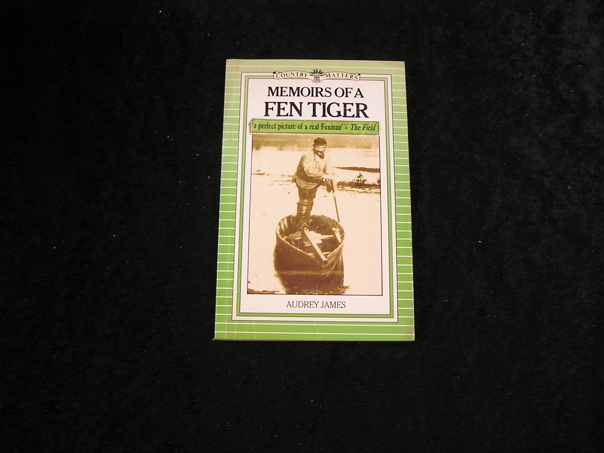 Image 0 of Memoirs of a Fen Tiger