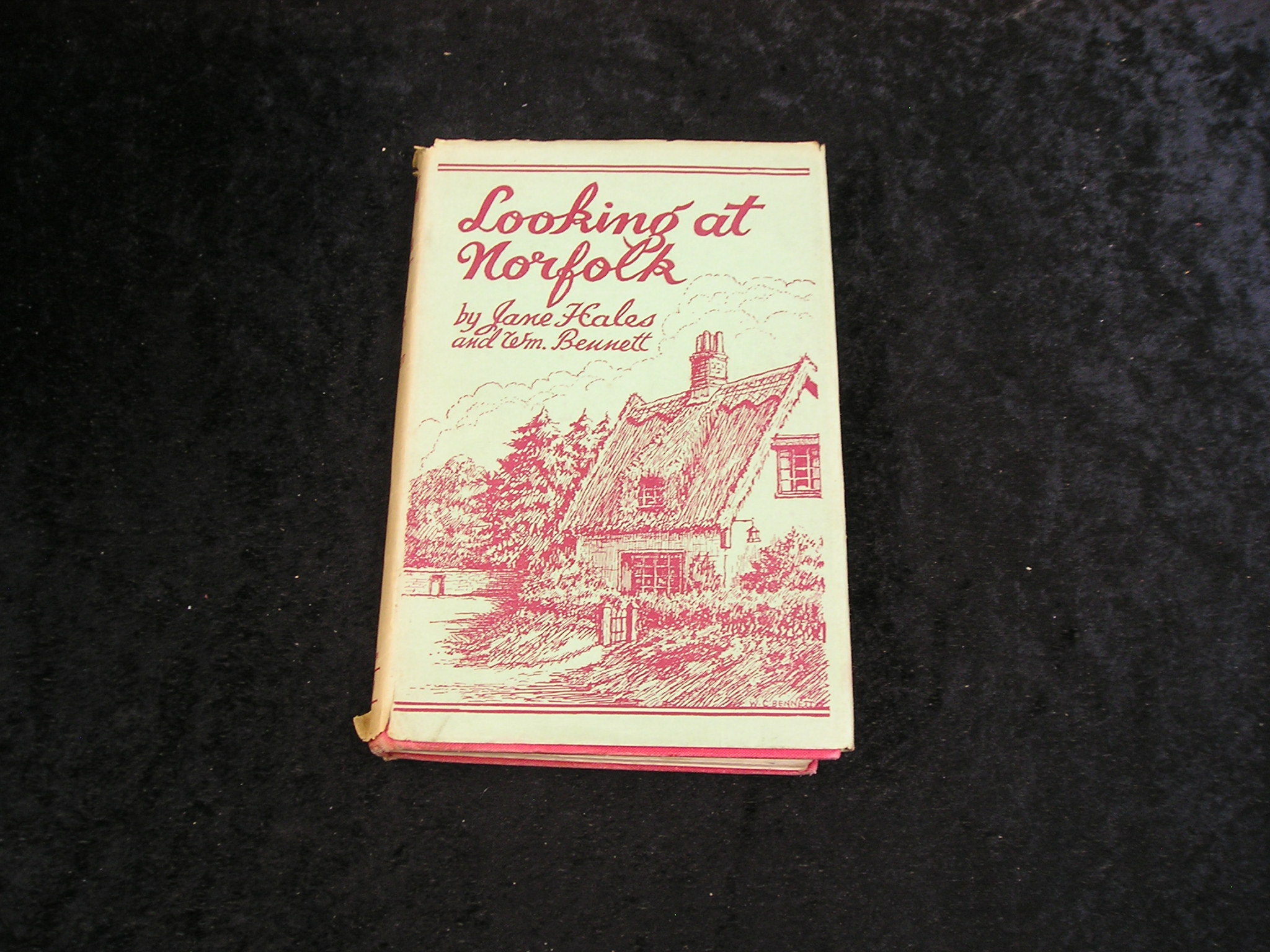 Image 0 of Looking at Norfolk