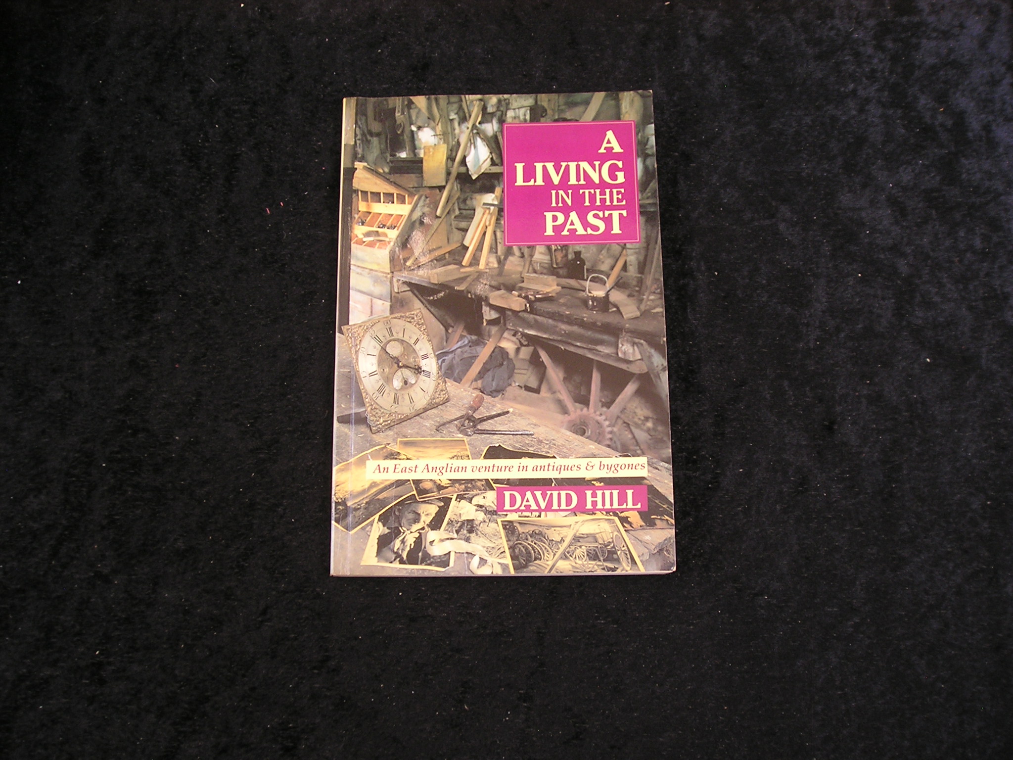 Image 0 of A Living in the Past