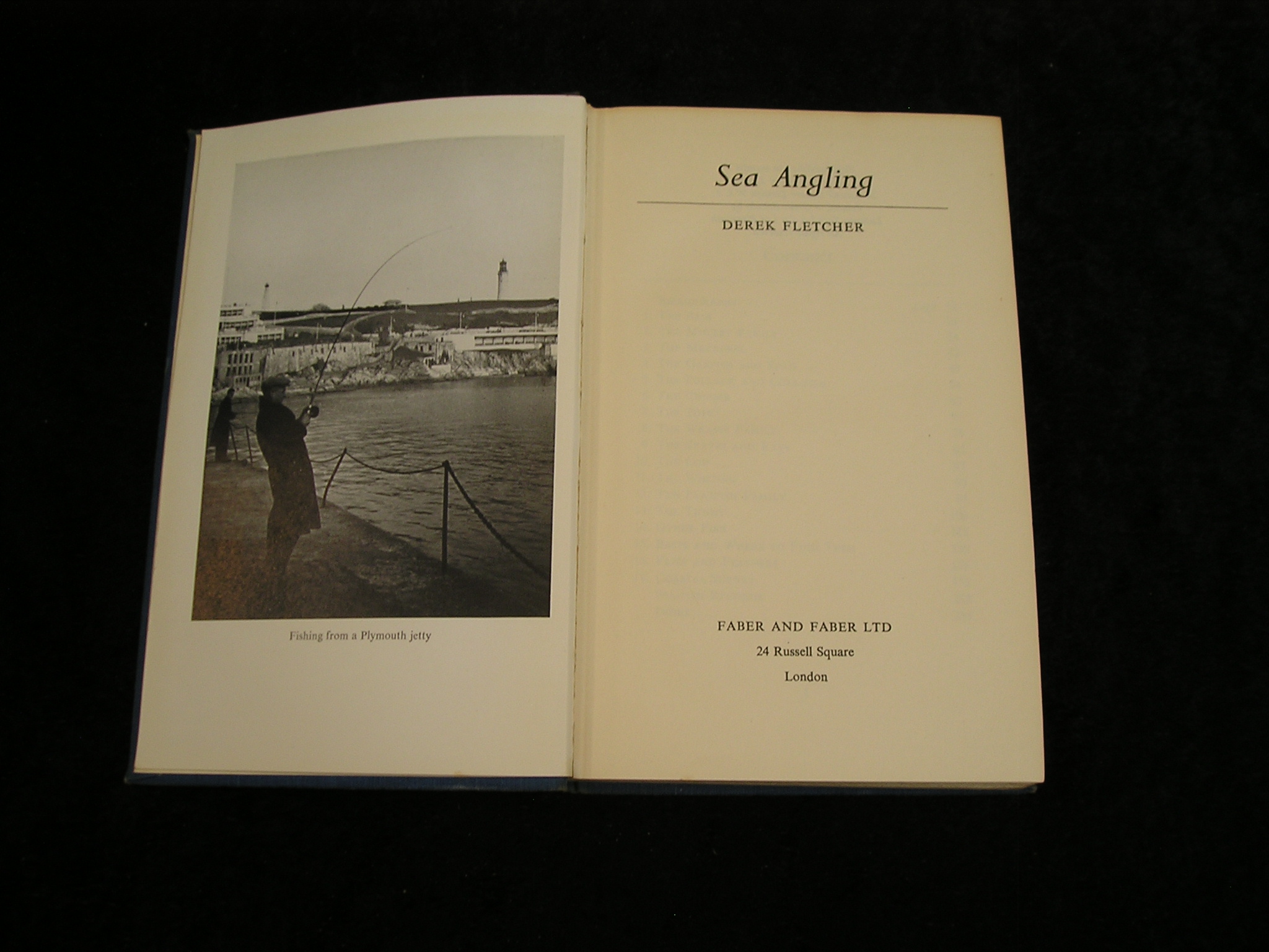 Image 0 of Sea Angling