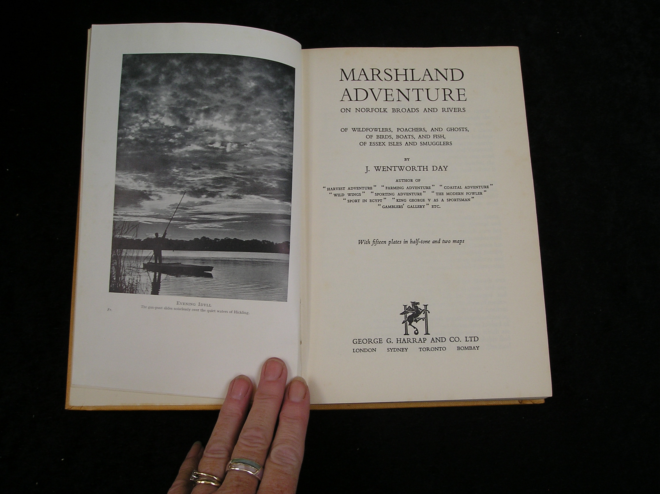 Image 0 of Marshland Adventure