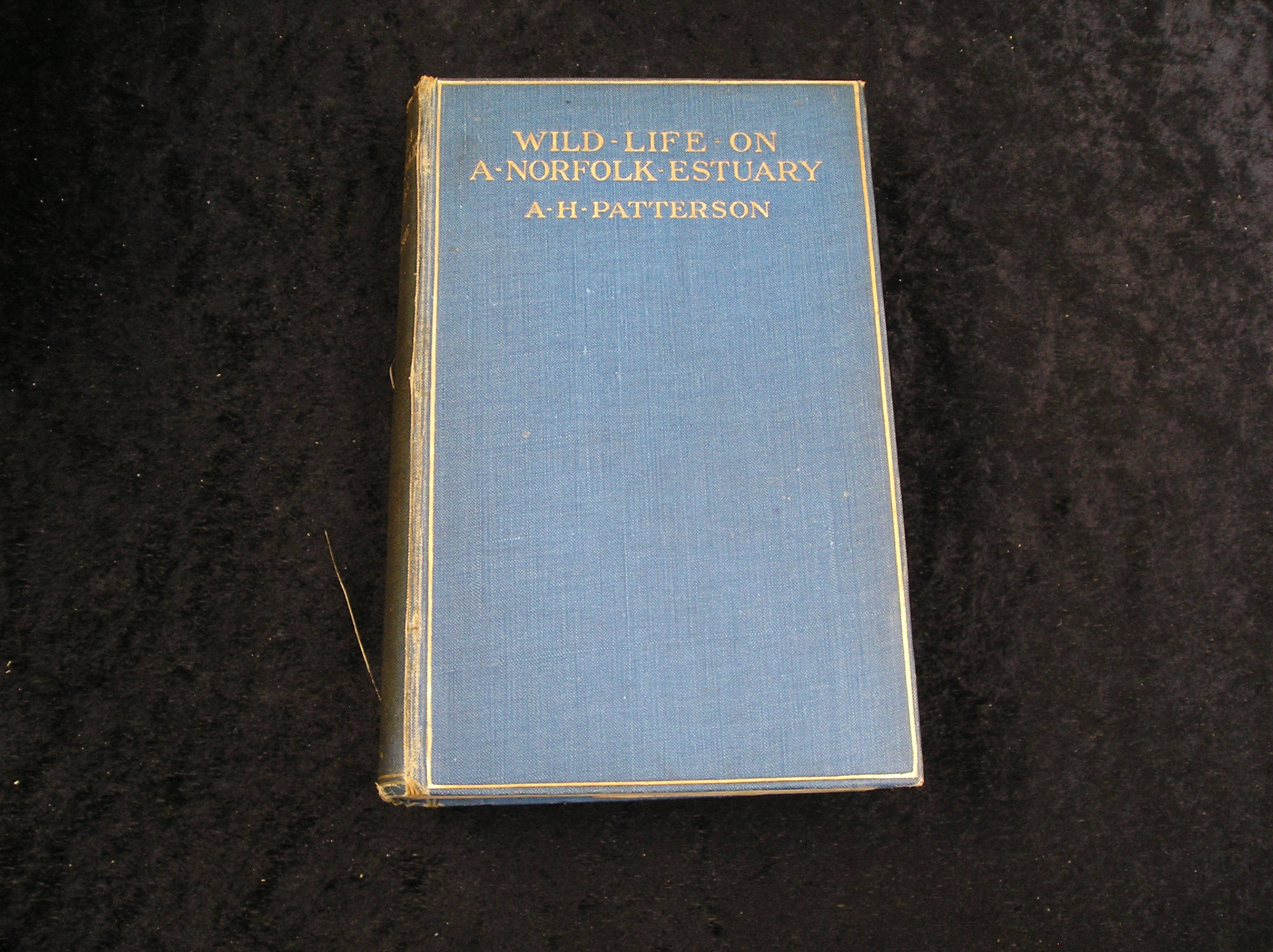 Image 0 of Wild Life on a Norfolk Esturay