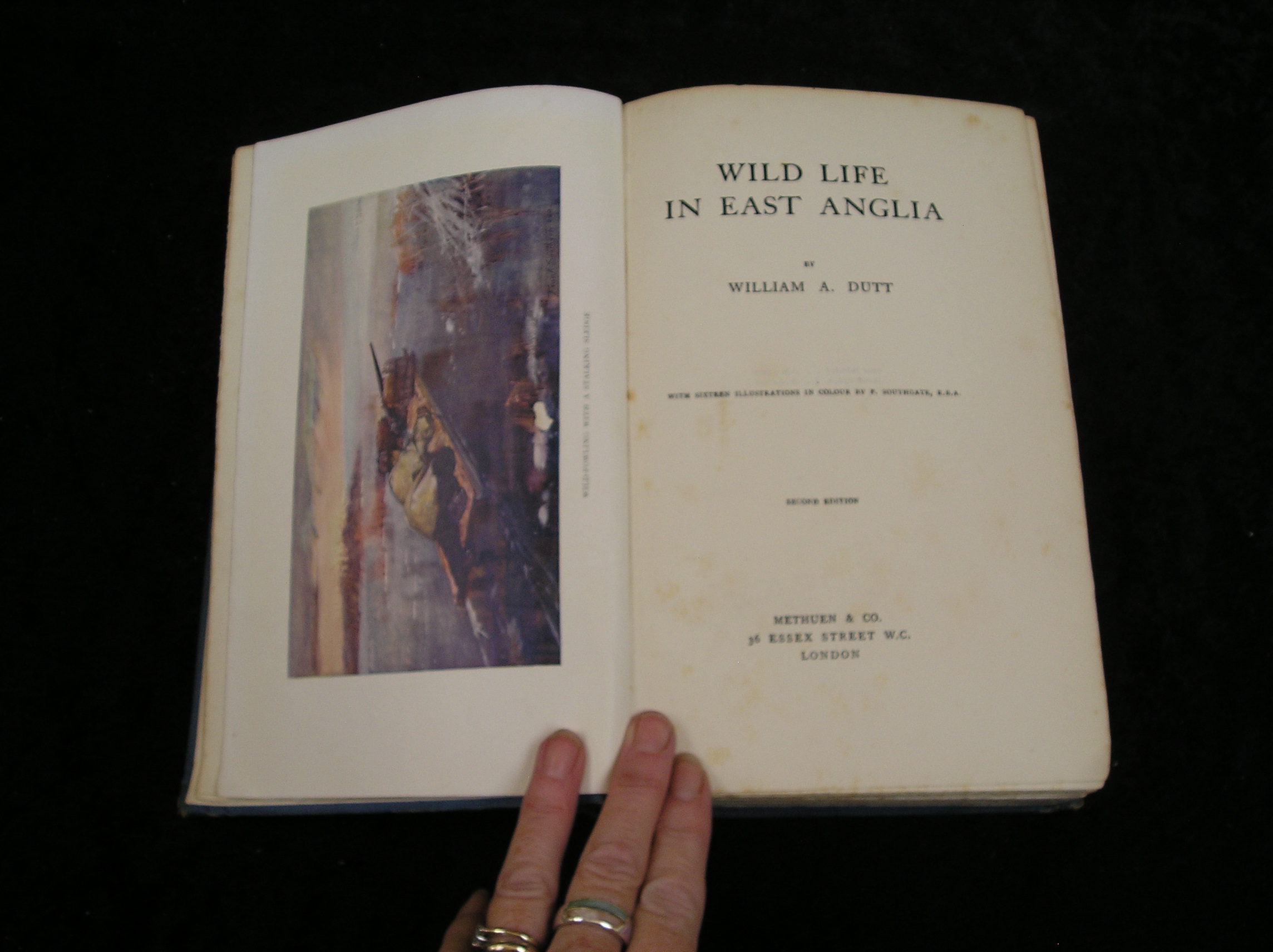 Image 0 of Wild Life in East Anglia