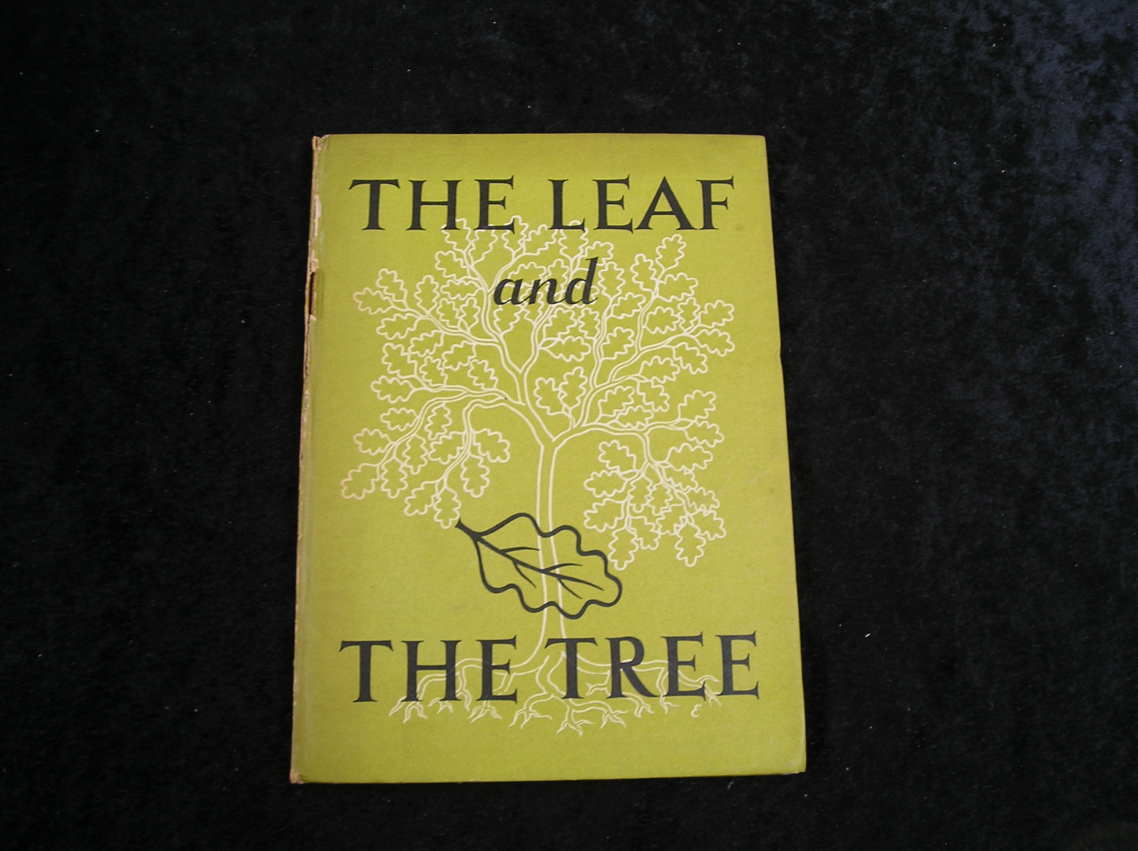 Image 0 of The Leaf and The Tree