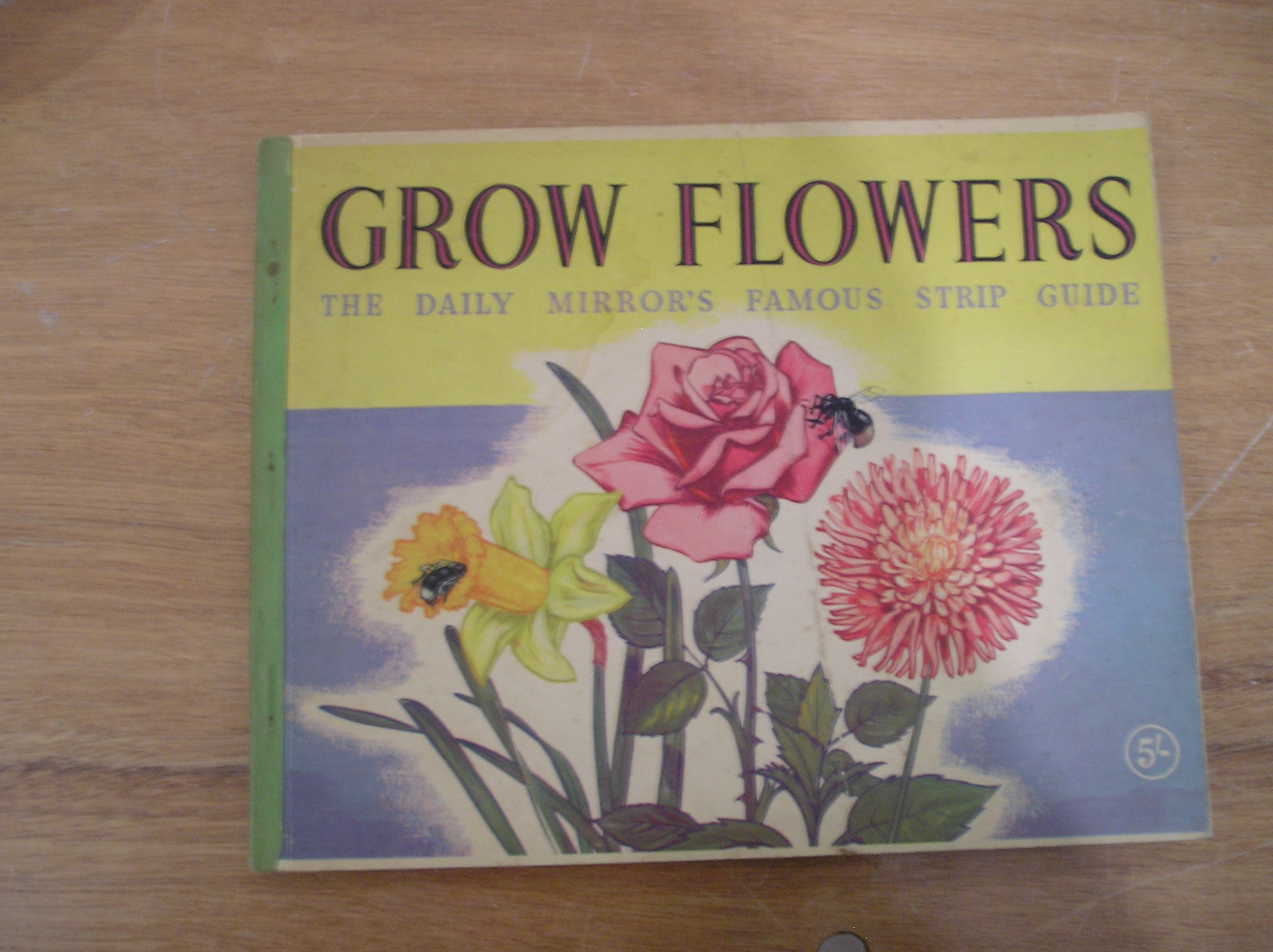 Image 0 of Grow Flowers The Daily Mirror's Famous Strip Guide