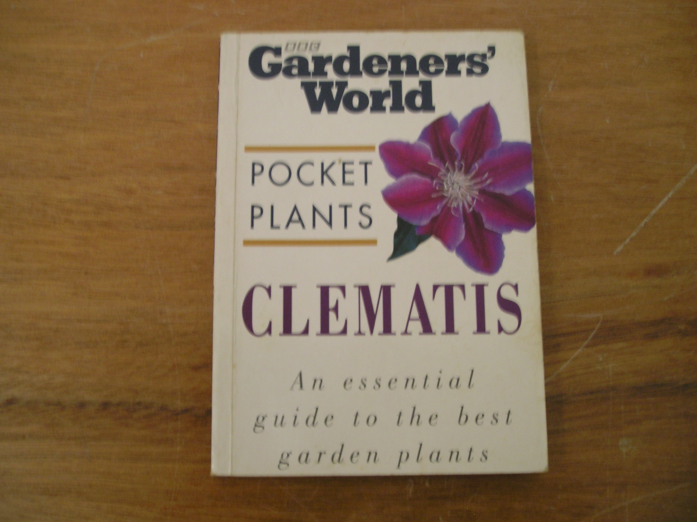 Image 0 of Clematis Pocket Plants