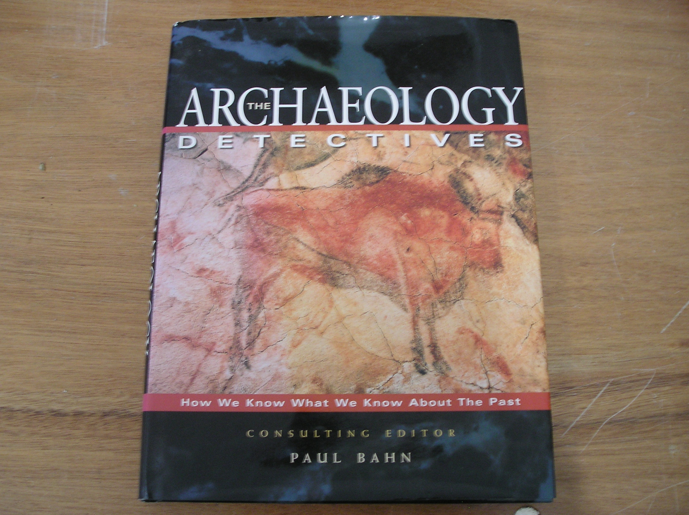 Image 0 of The Archaeology Detectives