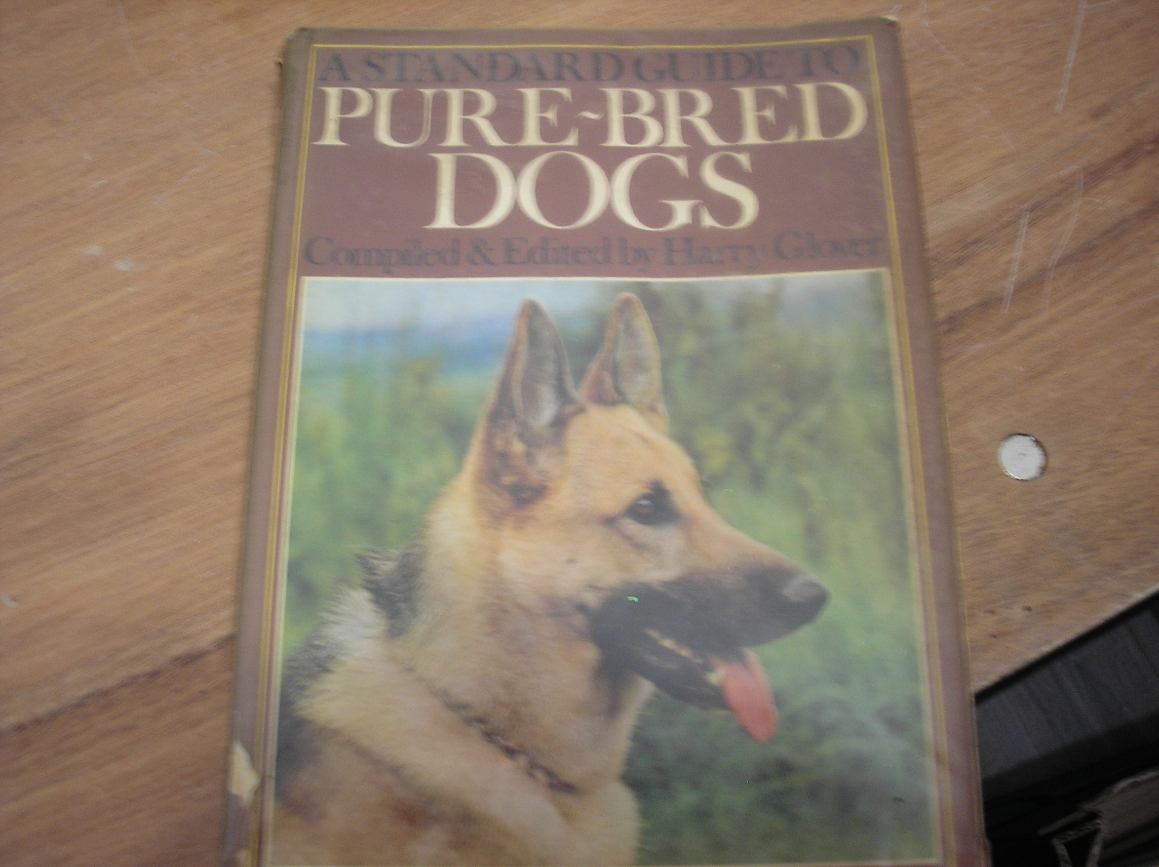 A Standard Guide To Pure-Bred Dogs