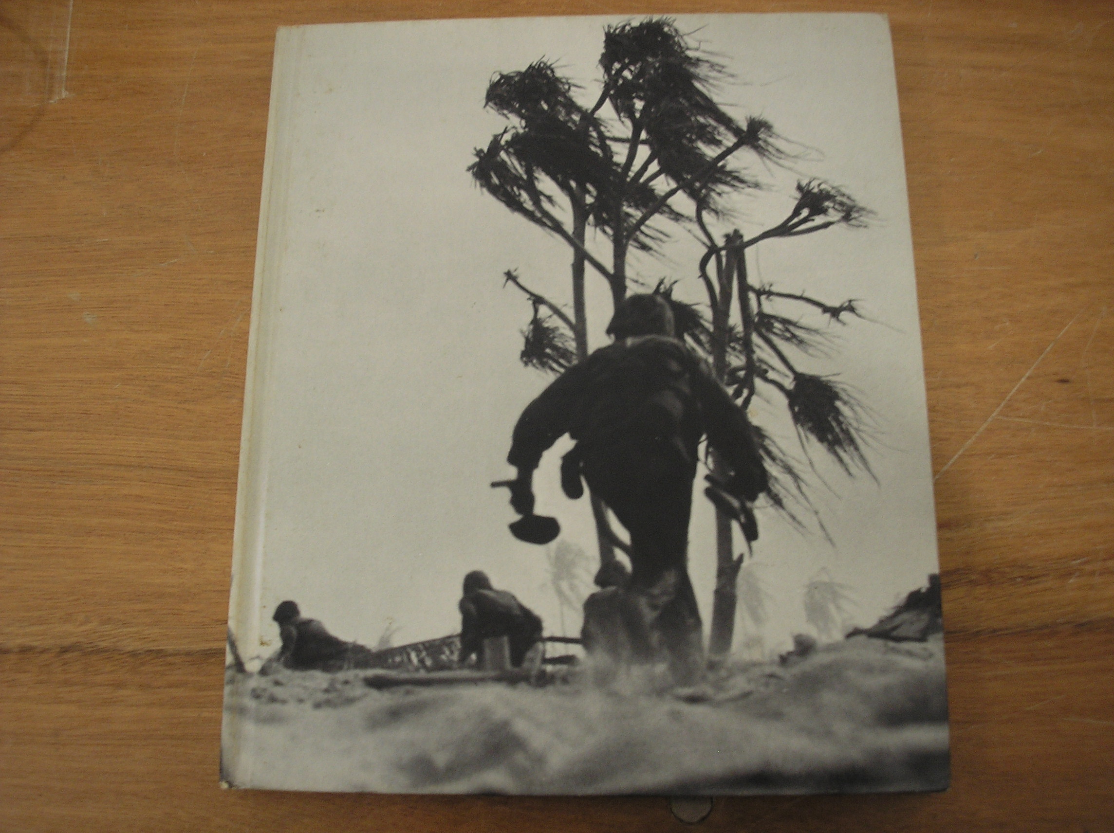 Image 0 of Island Fighting World War II