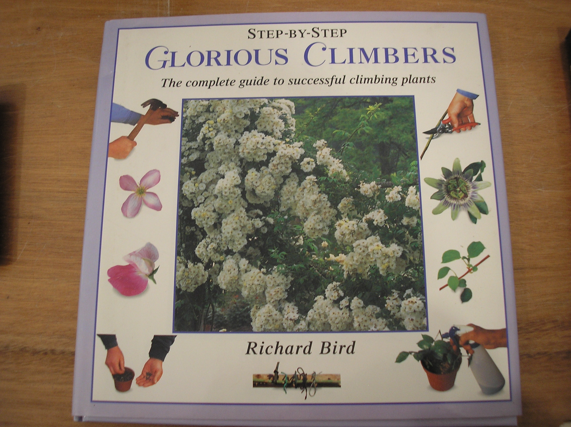 Image 0 of Glorious Climbers