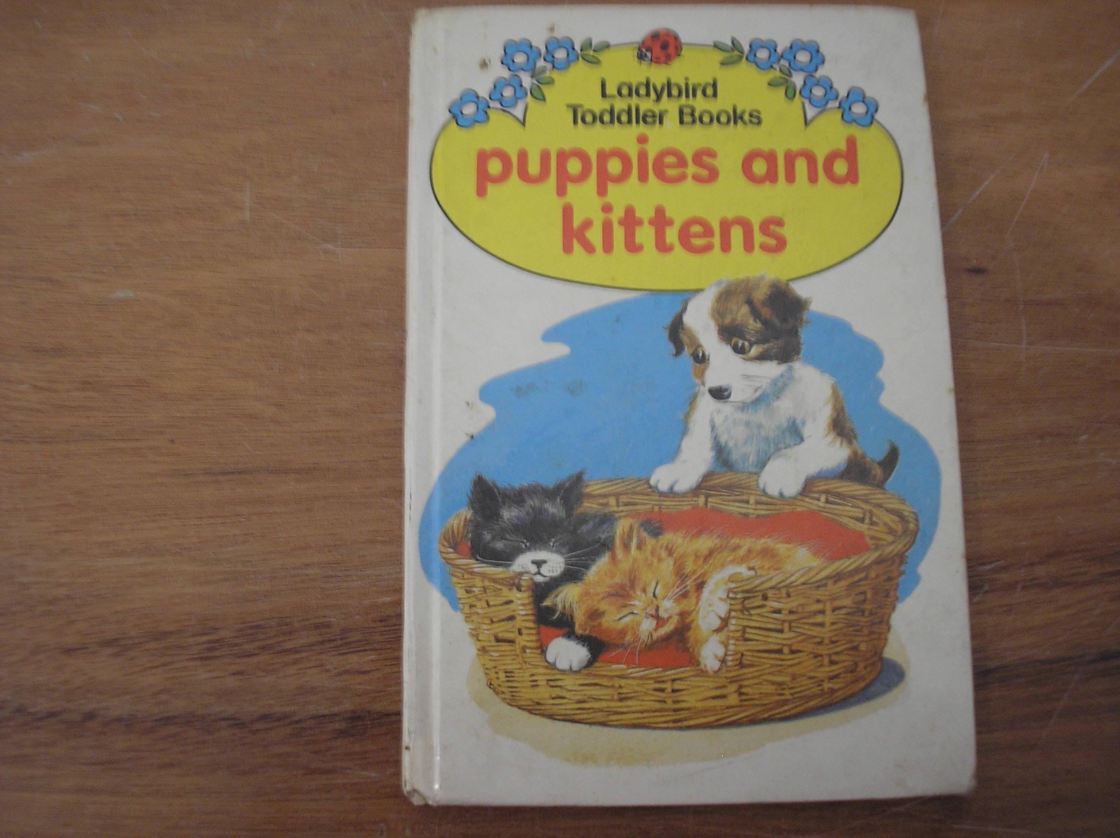 Image 0 of Puppies and Kittens