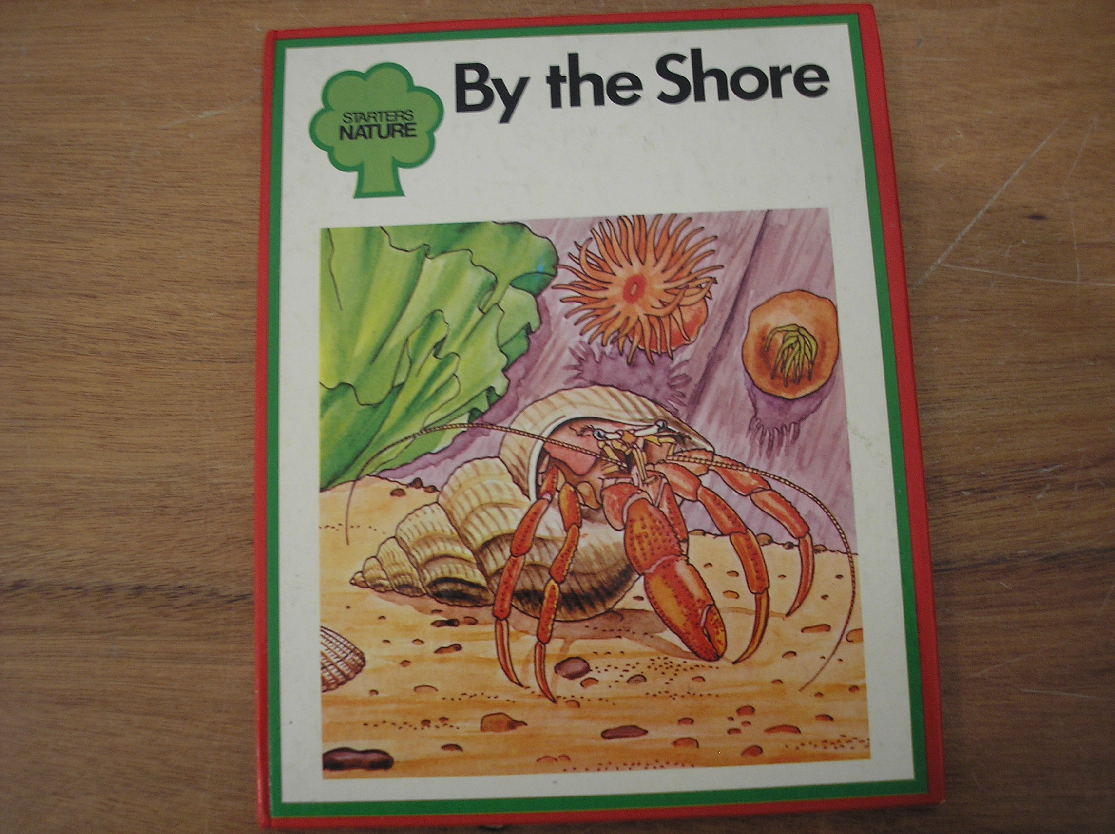 Image 0 of By The Shore (Starters)