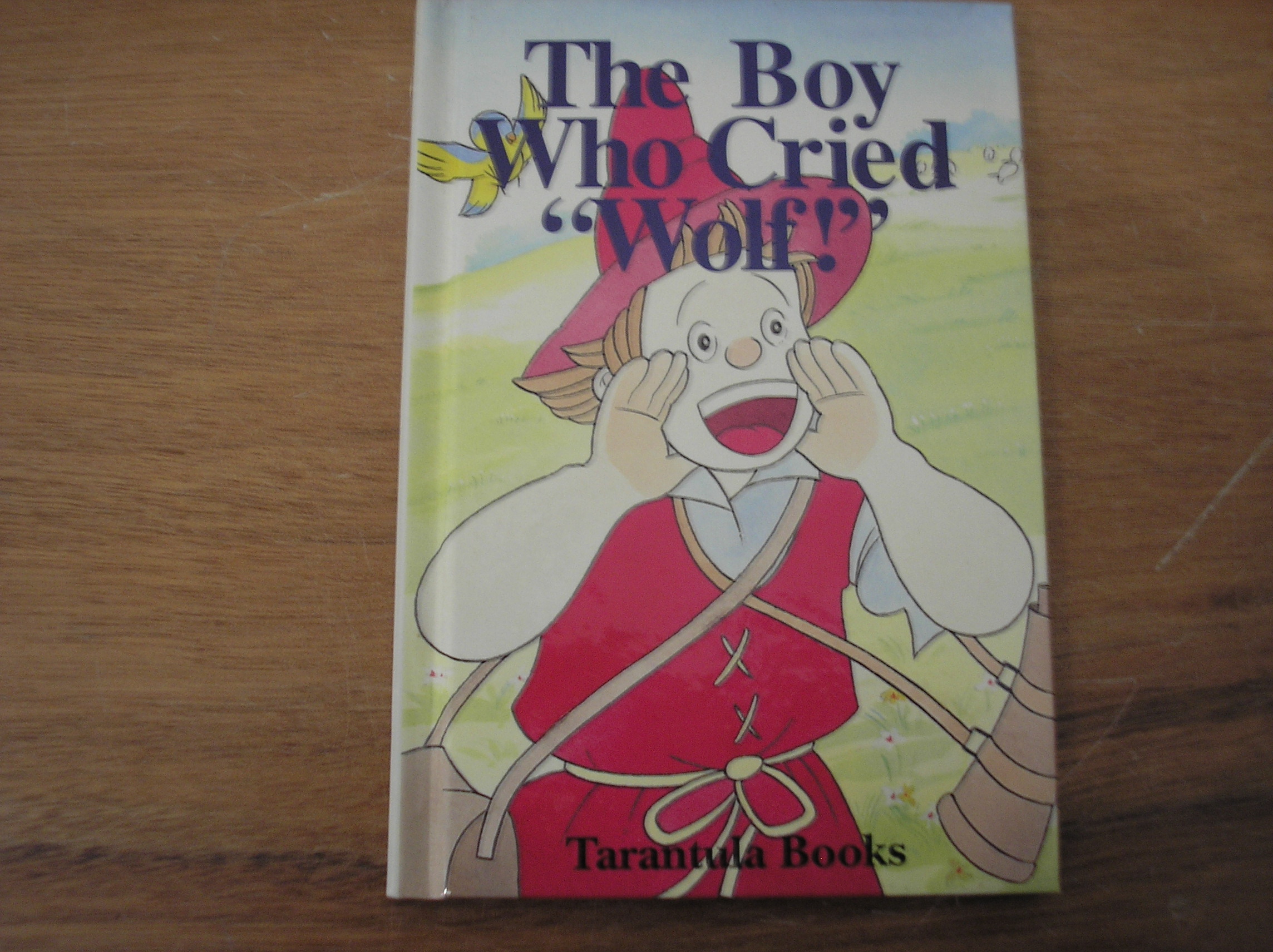 Image 0 of The Boy who Cried 