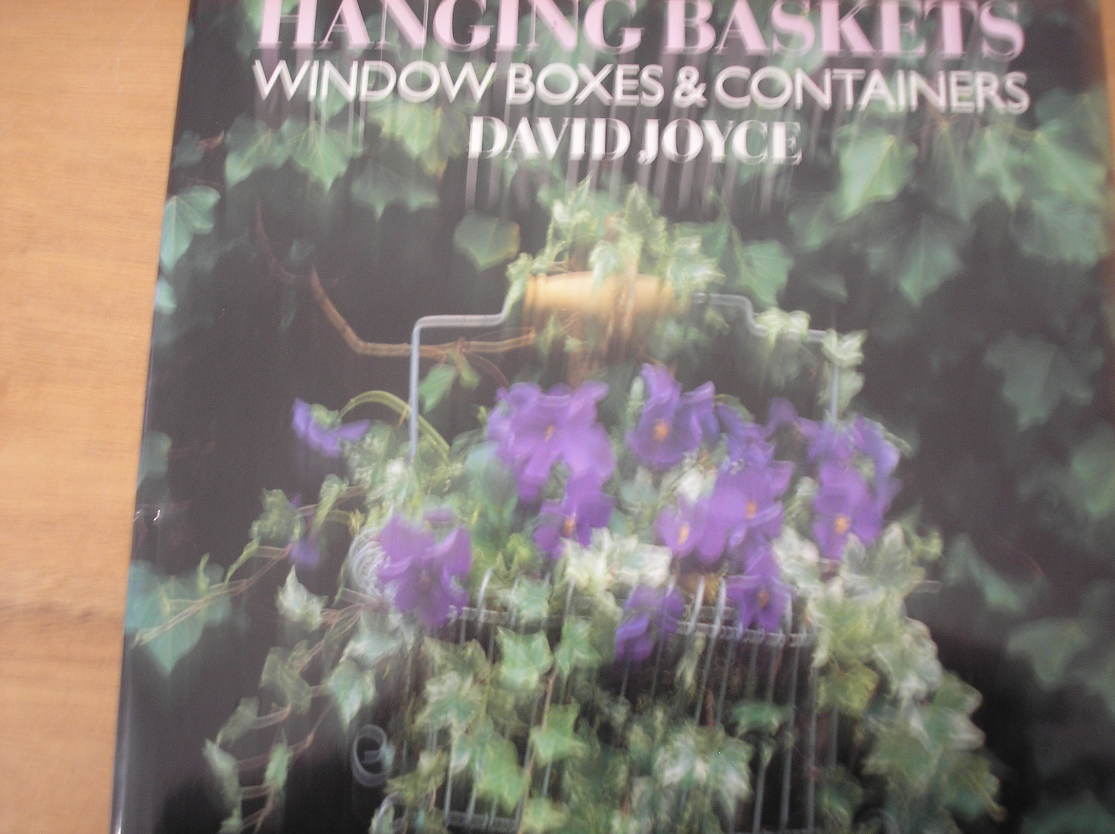 Image 0 of Hanging Baskets Window Boxes & Containers