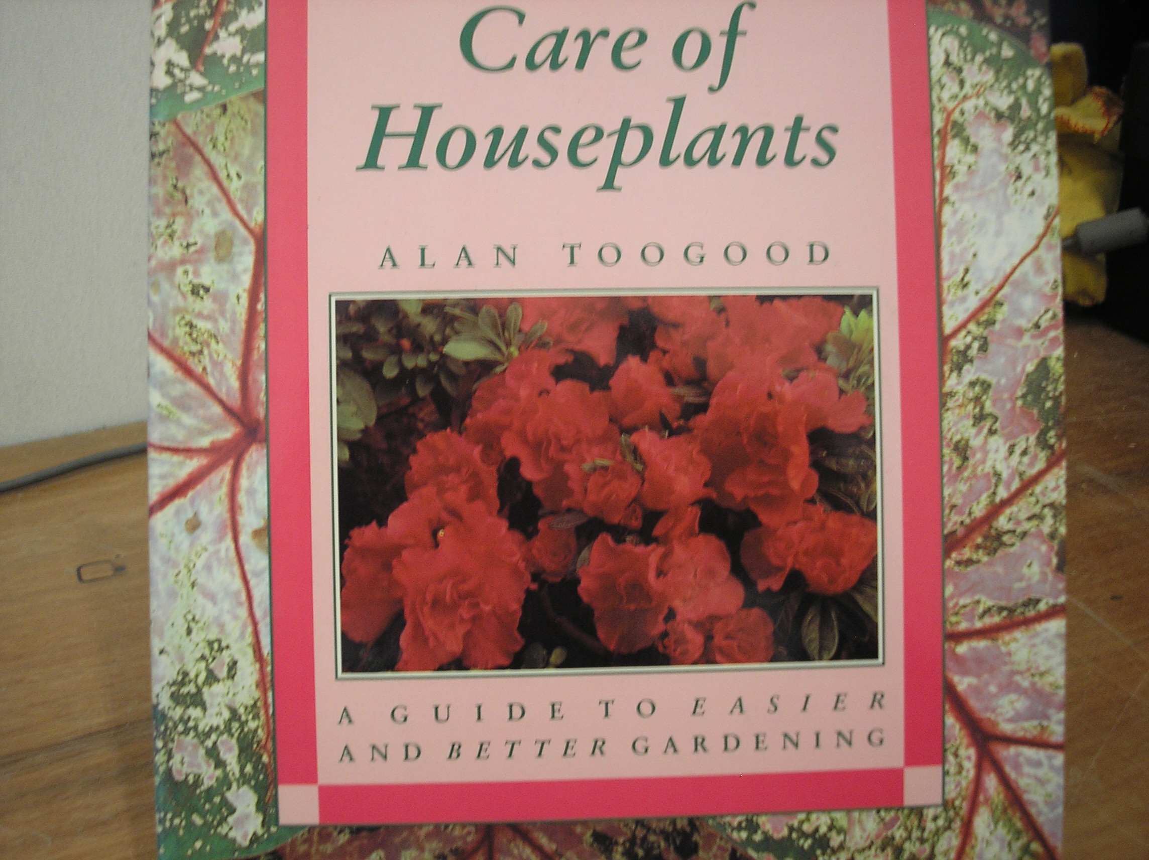 Image 0 of Care of Houseplants