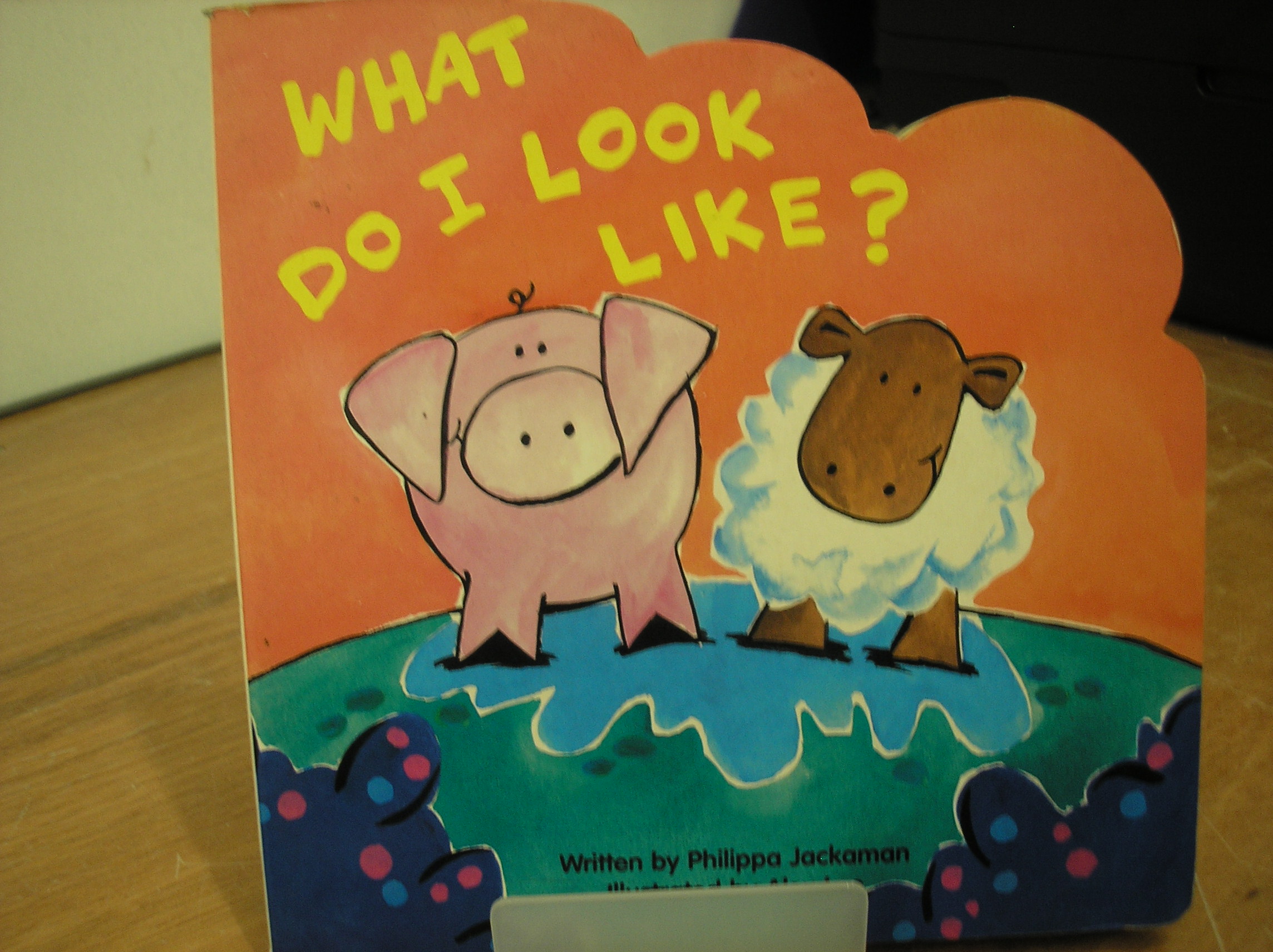 Image 0 of What Do I Look Like?