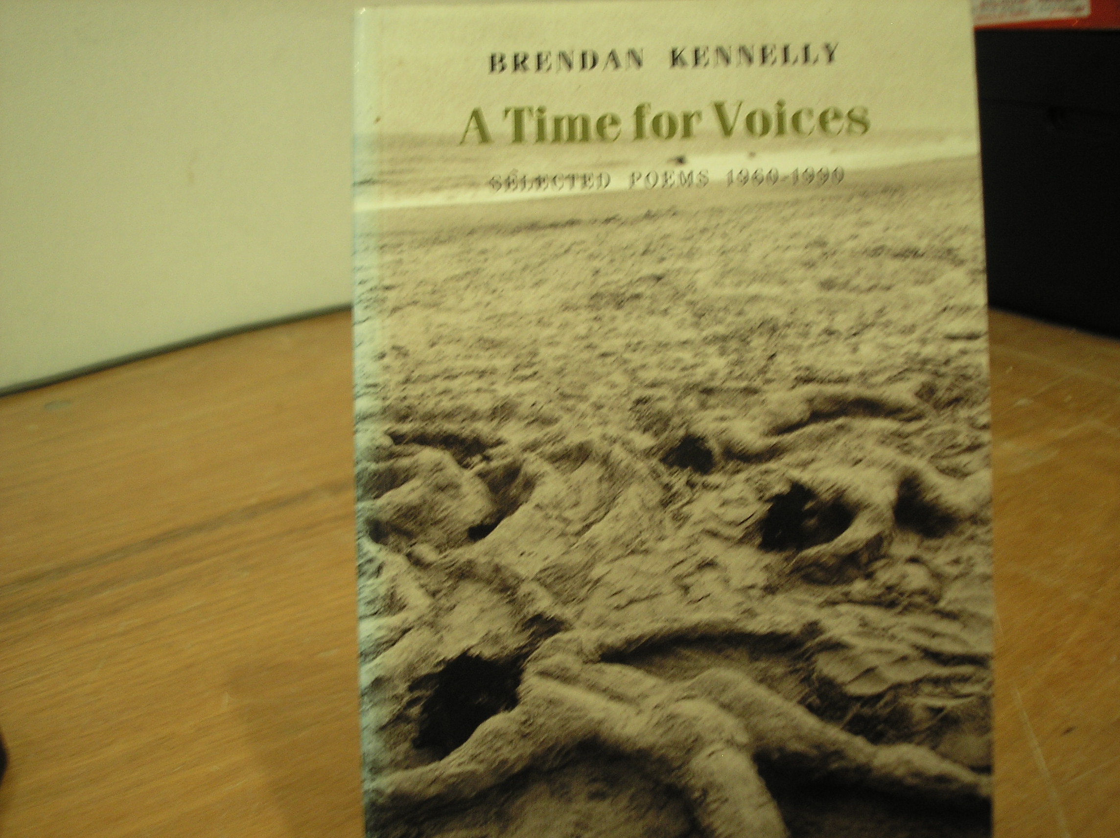 Image 0 of A Time for Voices Selected Poems 1960-1990