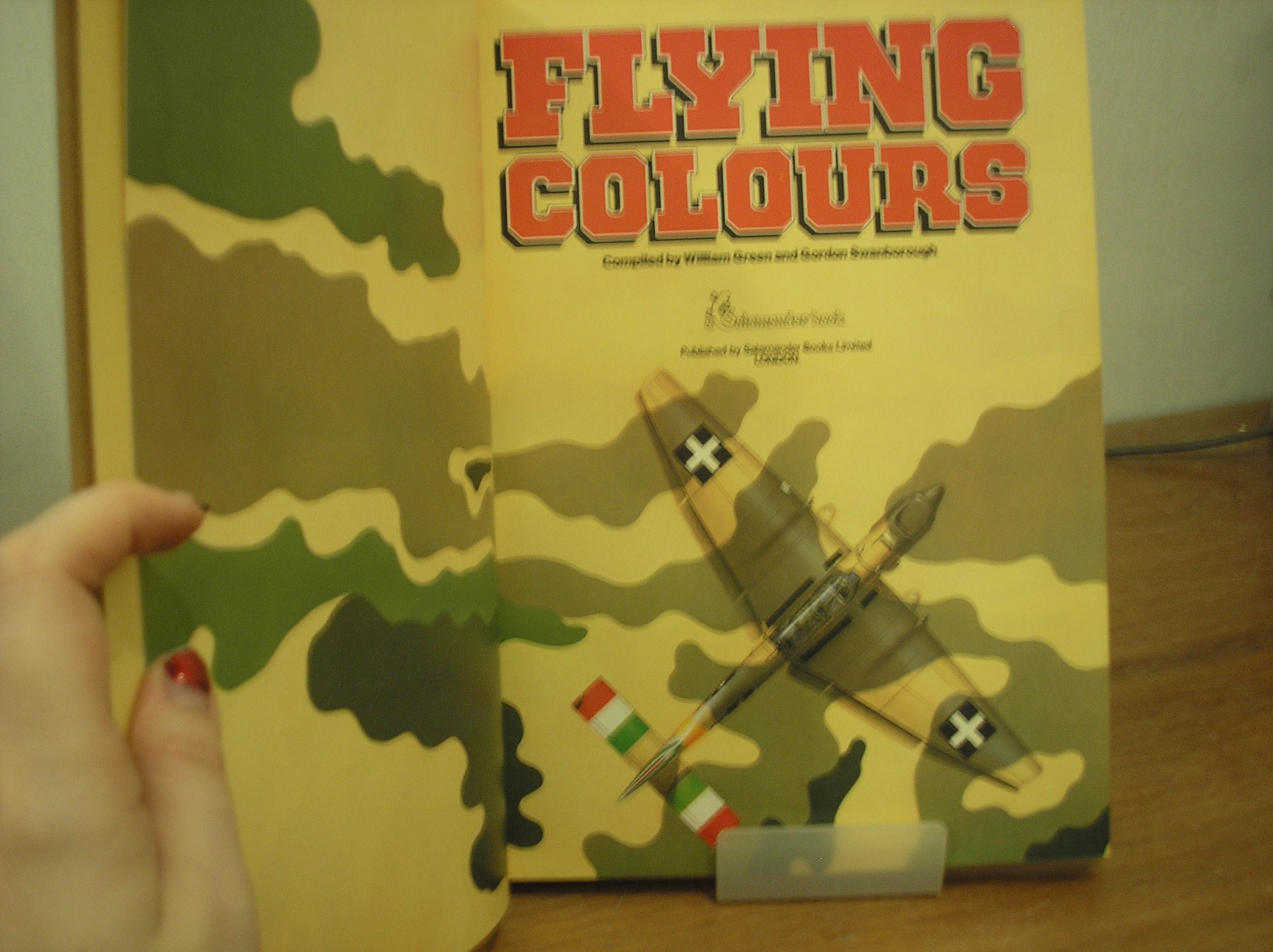 Image 0 of Flying Colours
