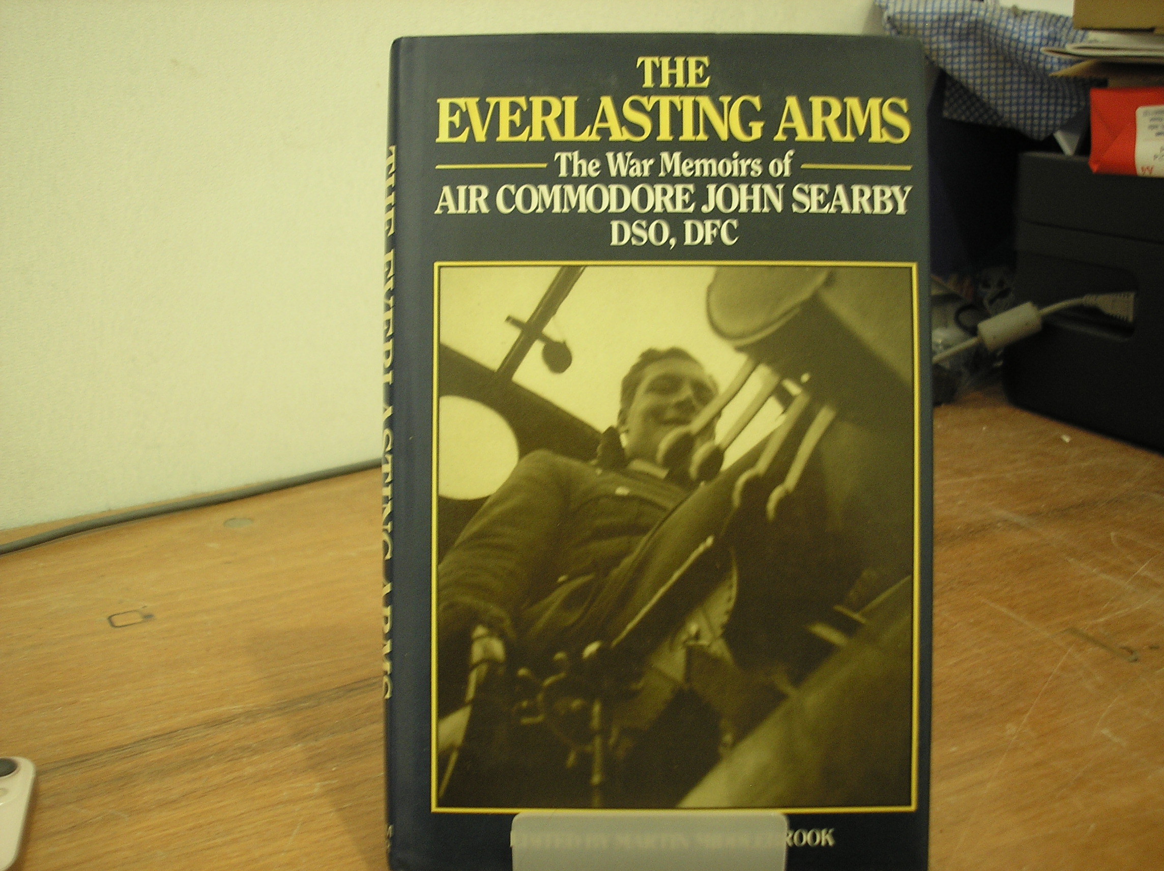 Image 0 of Everlasting Arms