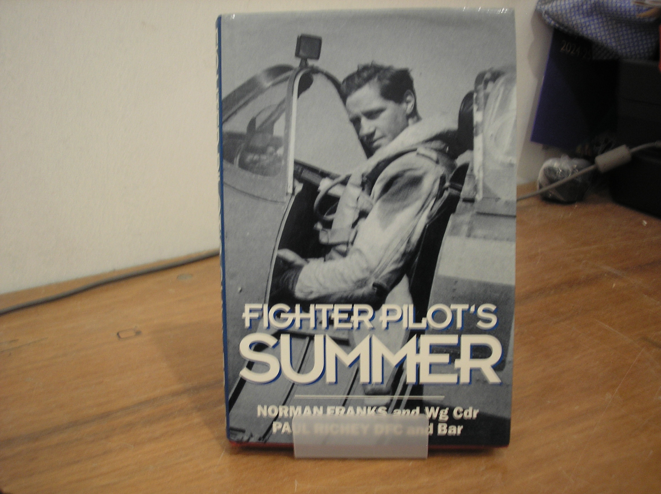 Image 0 of Fighter Pilot's Summer