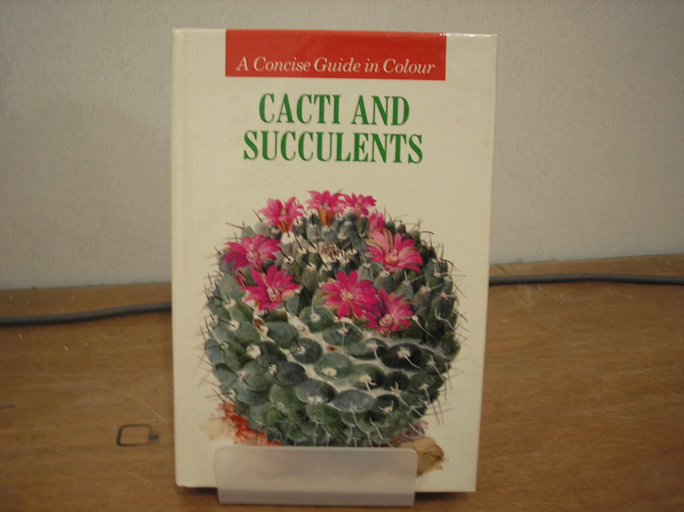 Image 0 of Cacti and Succulents
