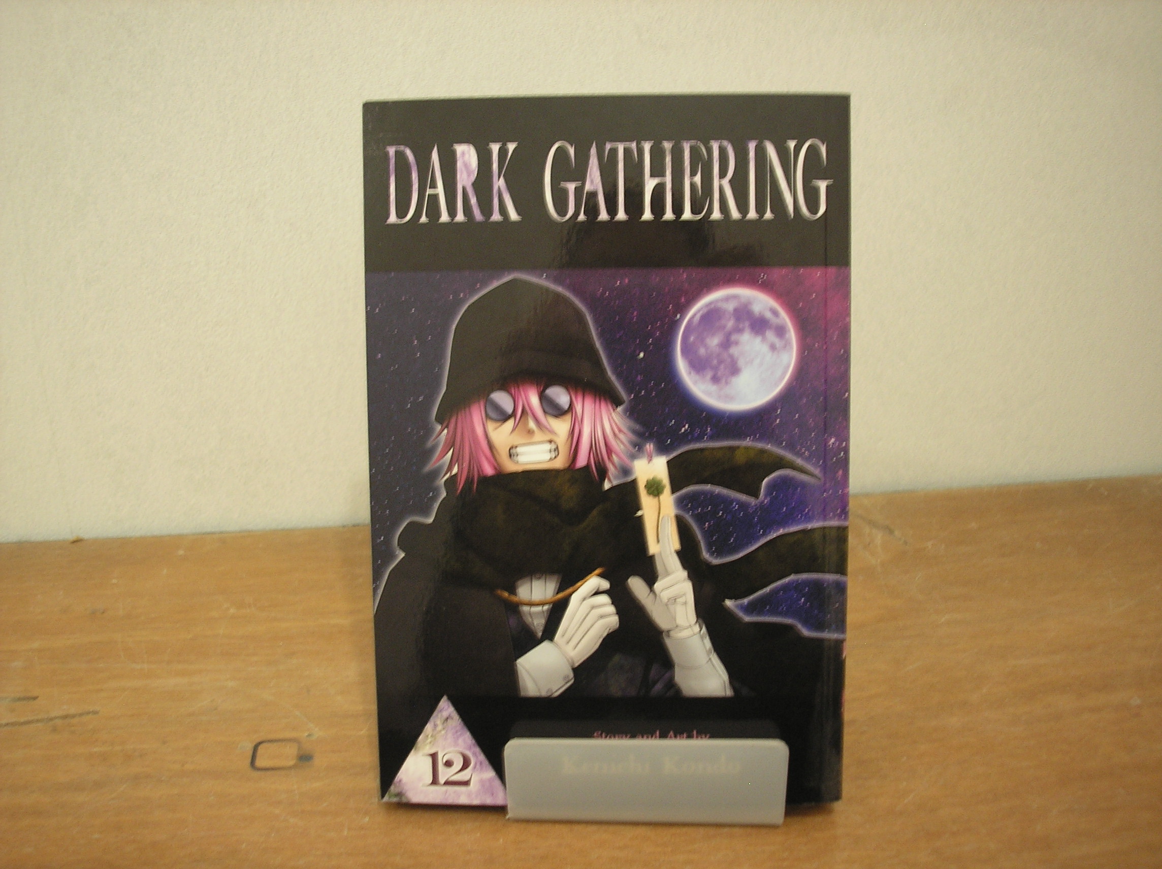 Image 0 of Dark Gathering 12