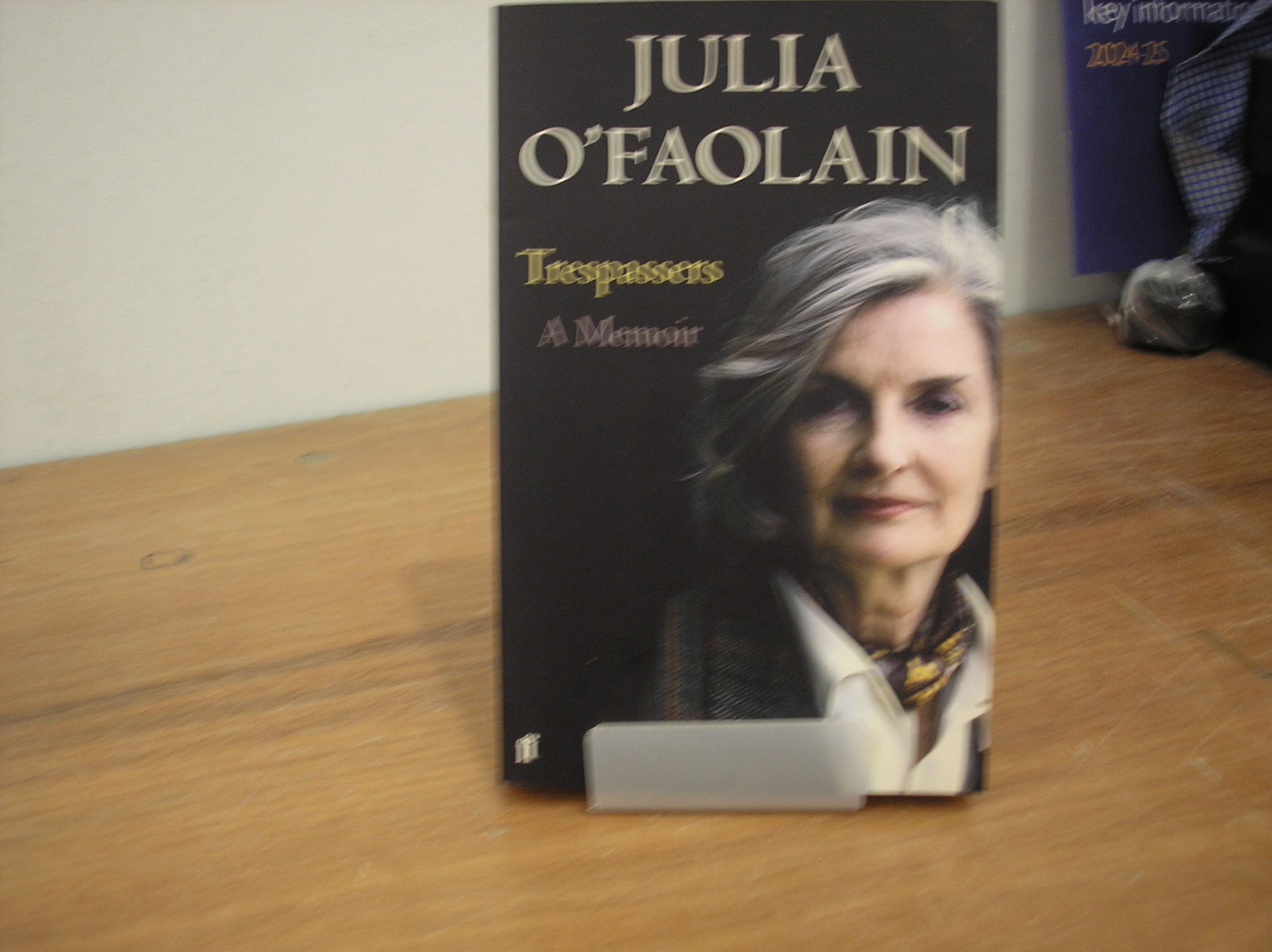 Image 0 of Trespassers: A Memoir