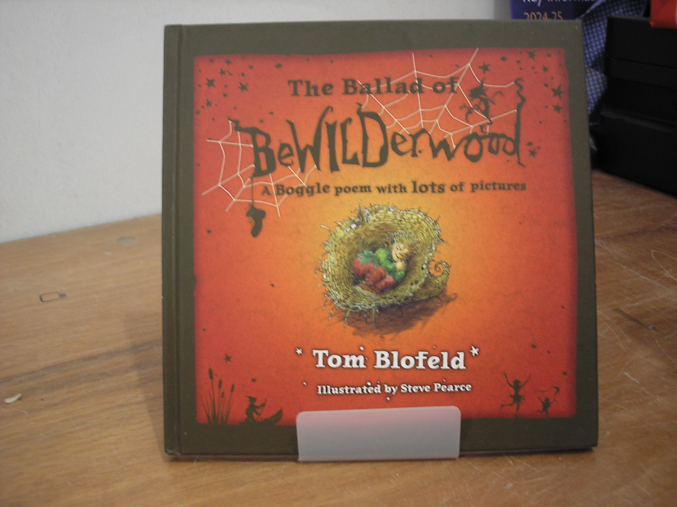 Image 0 of The Ballad of Bewilderwood A Boggle poem with lots of pictures