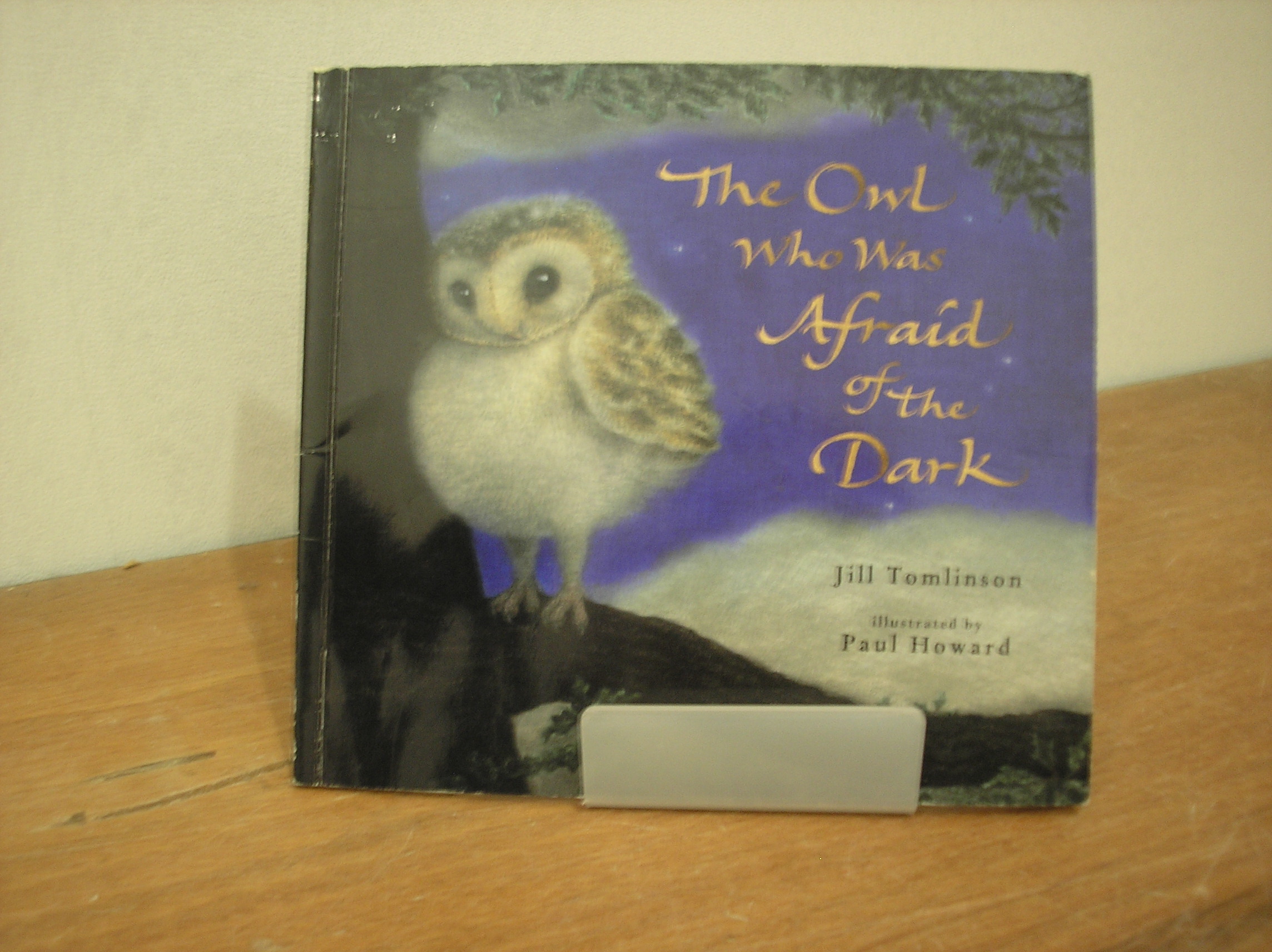 Image 0 of The Owl Who Was Afraid of the Dark