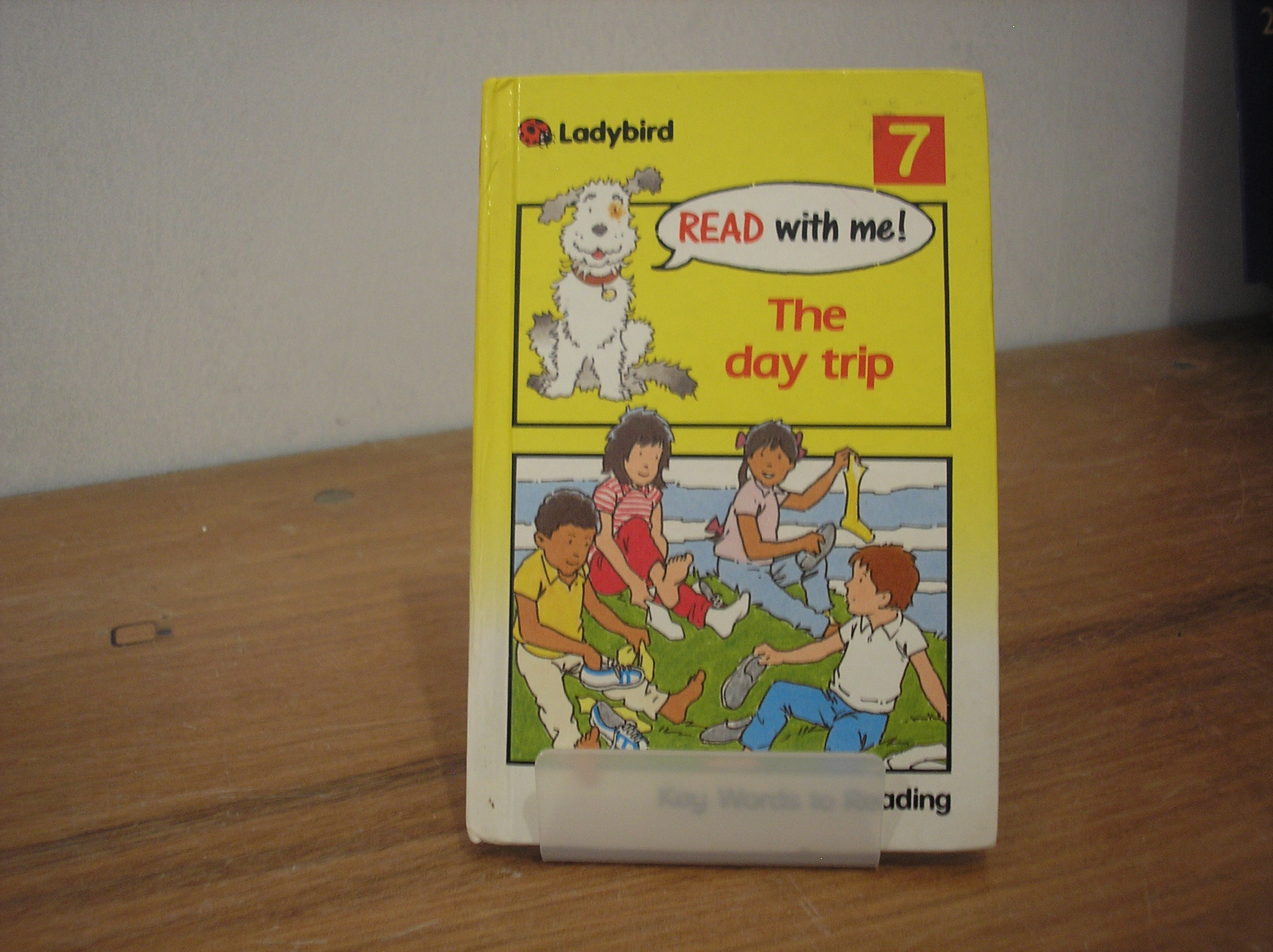 Image 0 of The Day Trip (Read with Me)