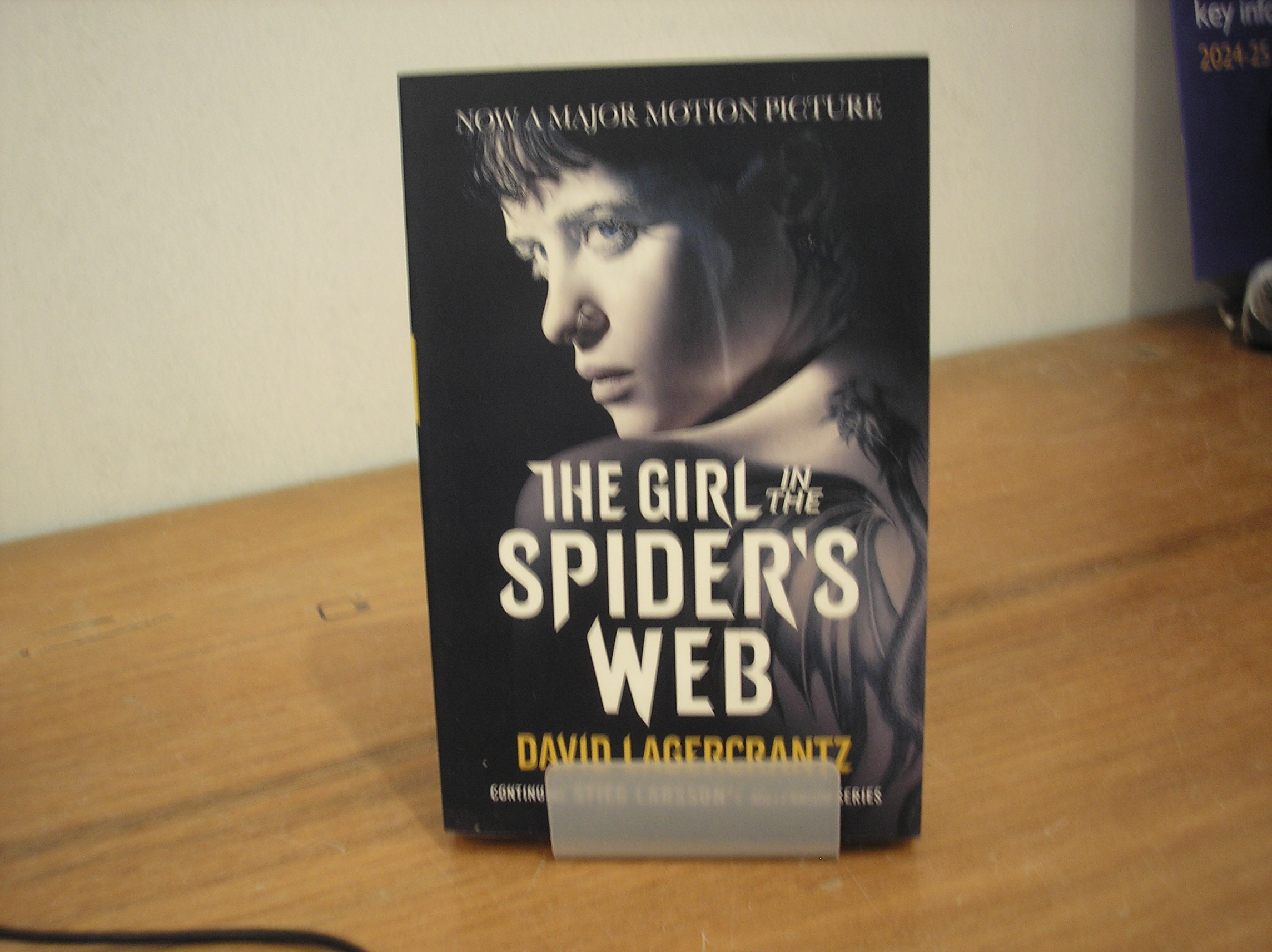 Image 0 of The Girl in the Spiders Web