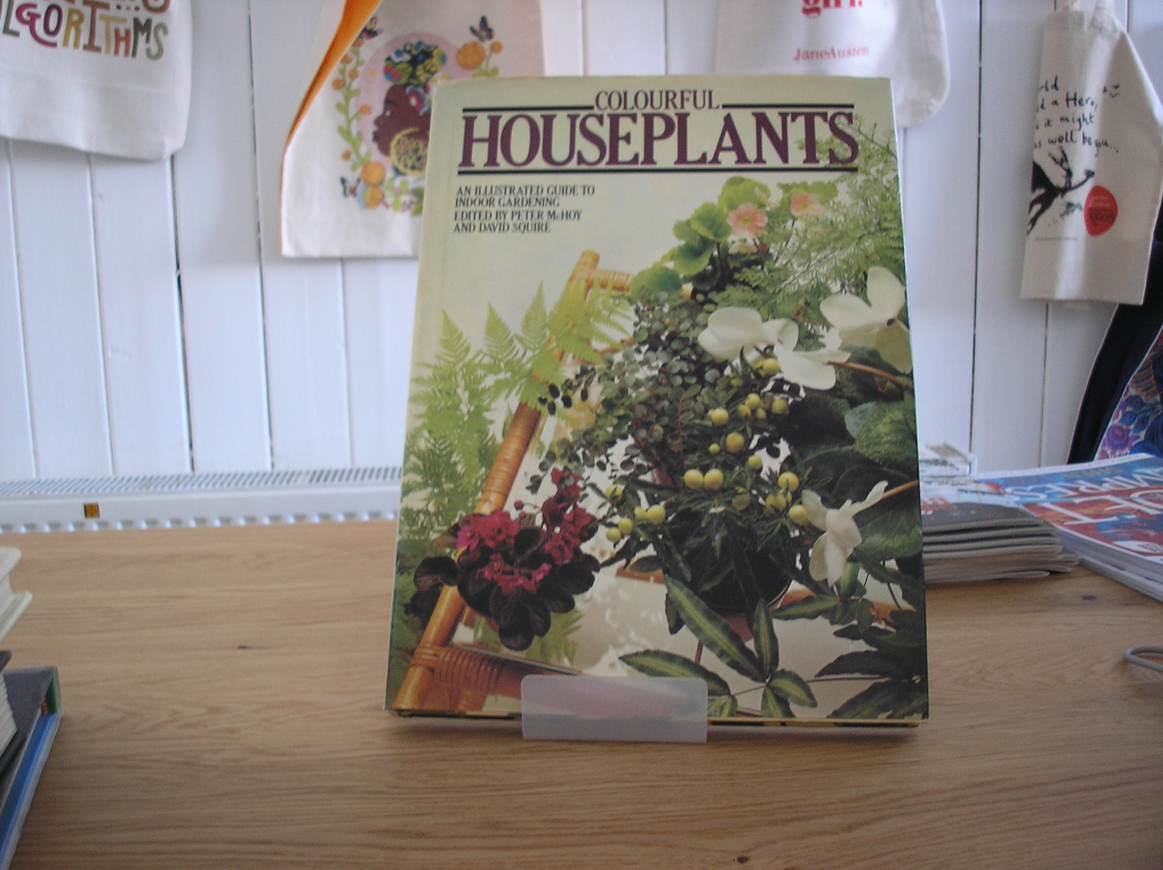 Image 0 of Colourful Houseplants
