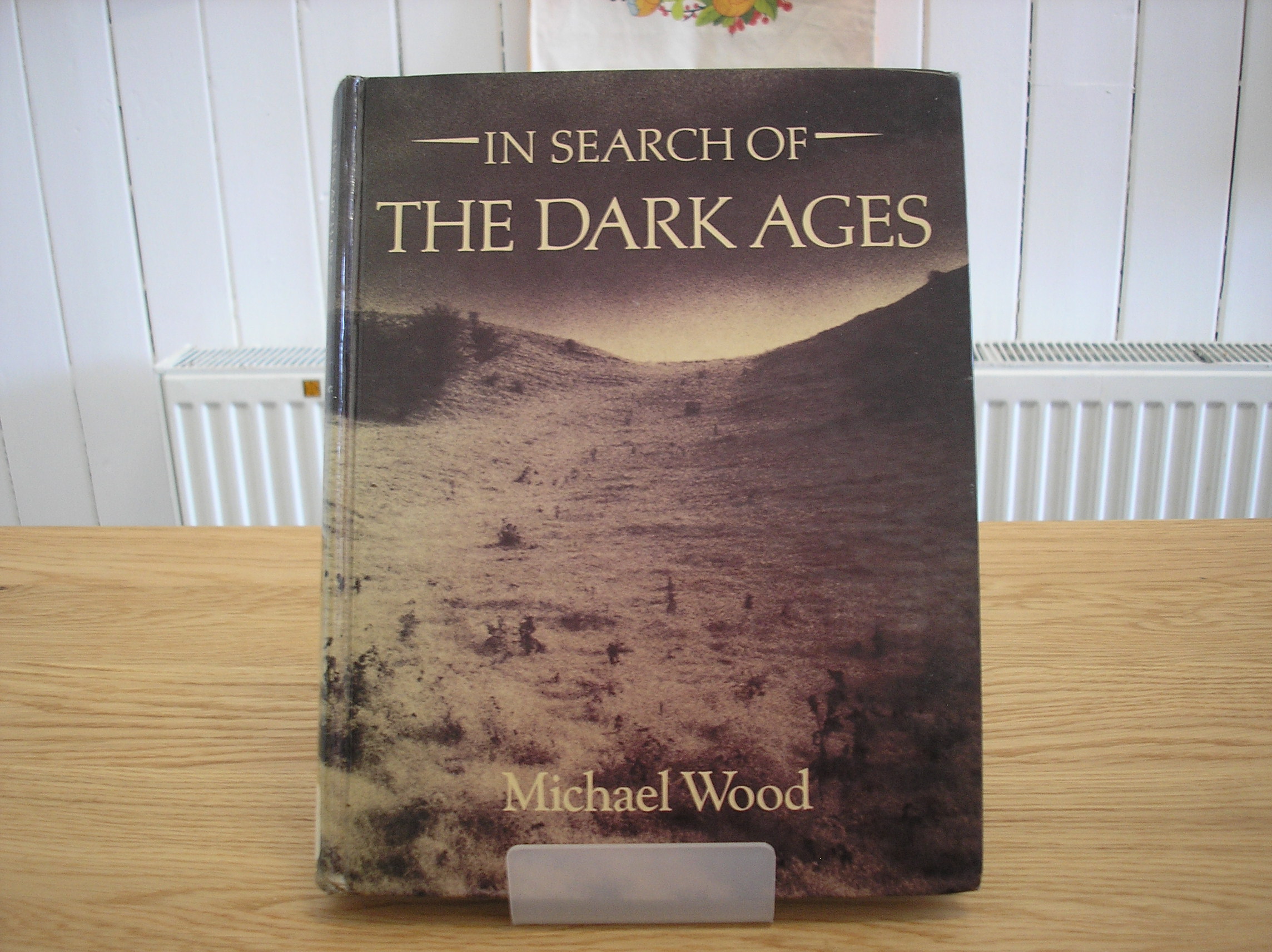 Image 0 of In Search of the Dark Ages