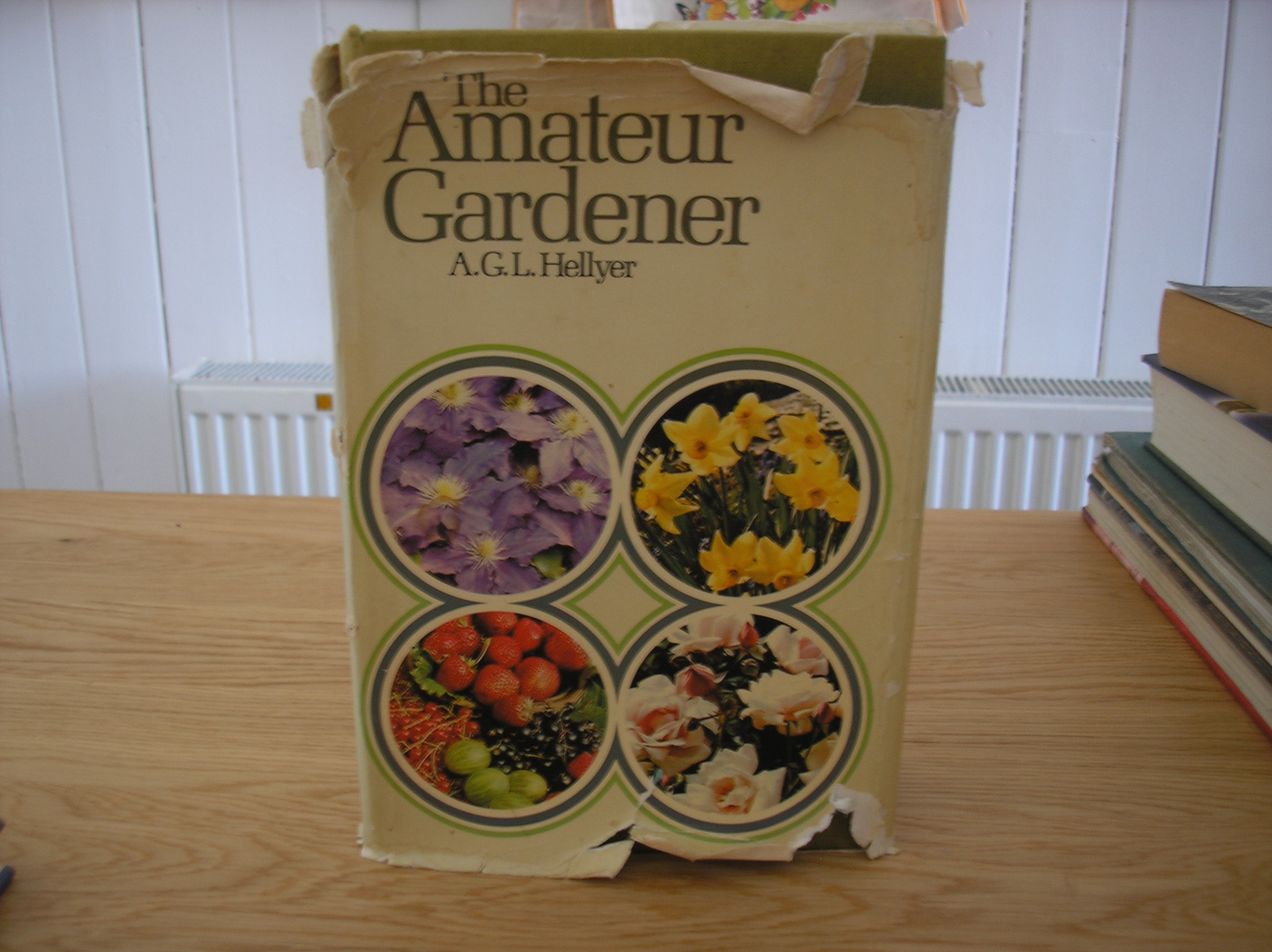 Image 0 of The Amateur Gardener