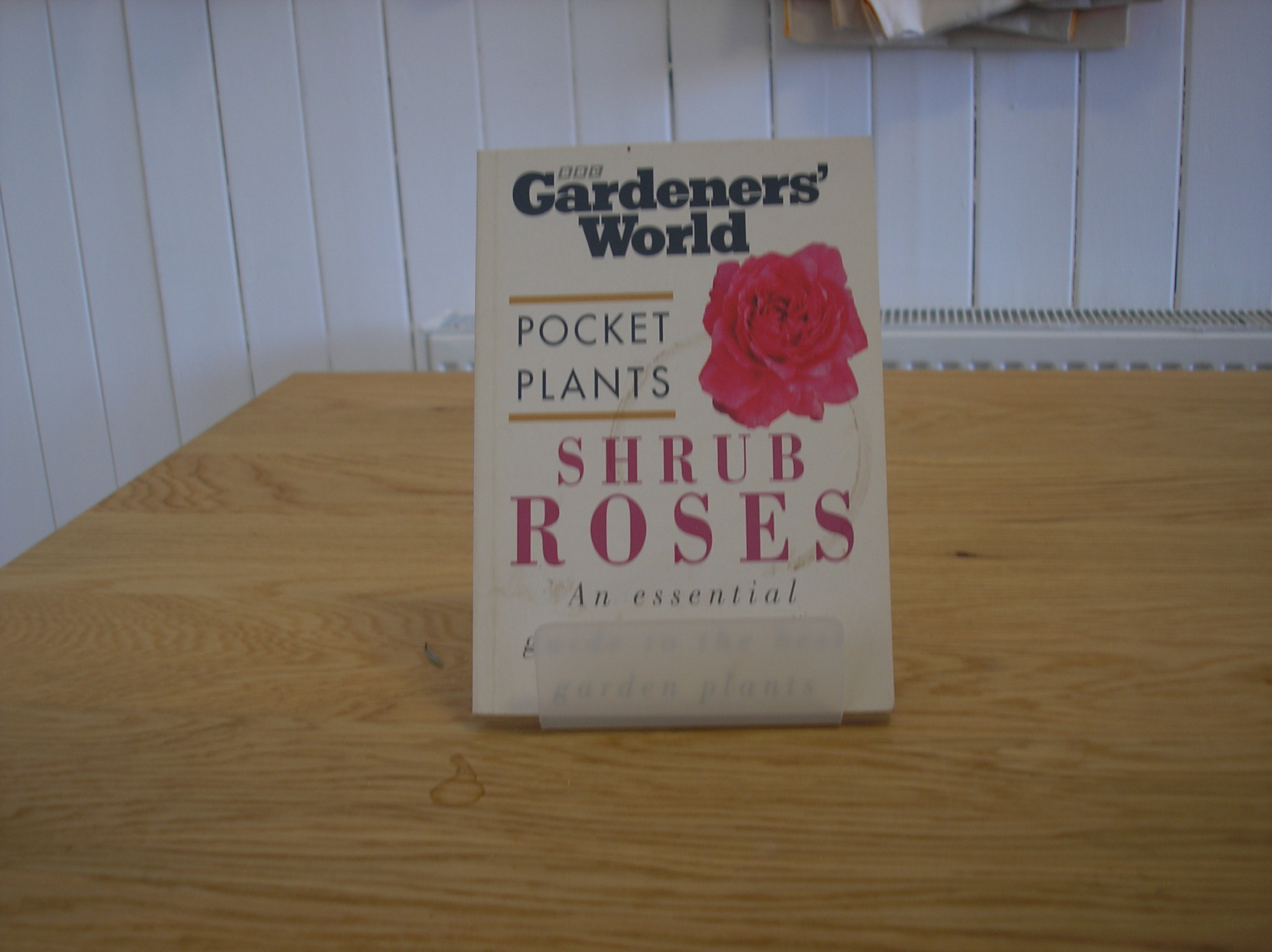 Image 0 of Gardener's World pocket plants Shrub Roses