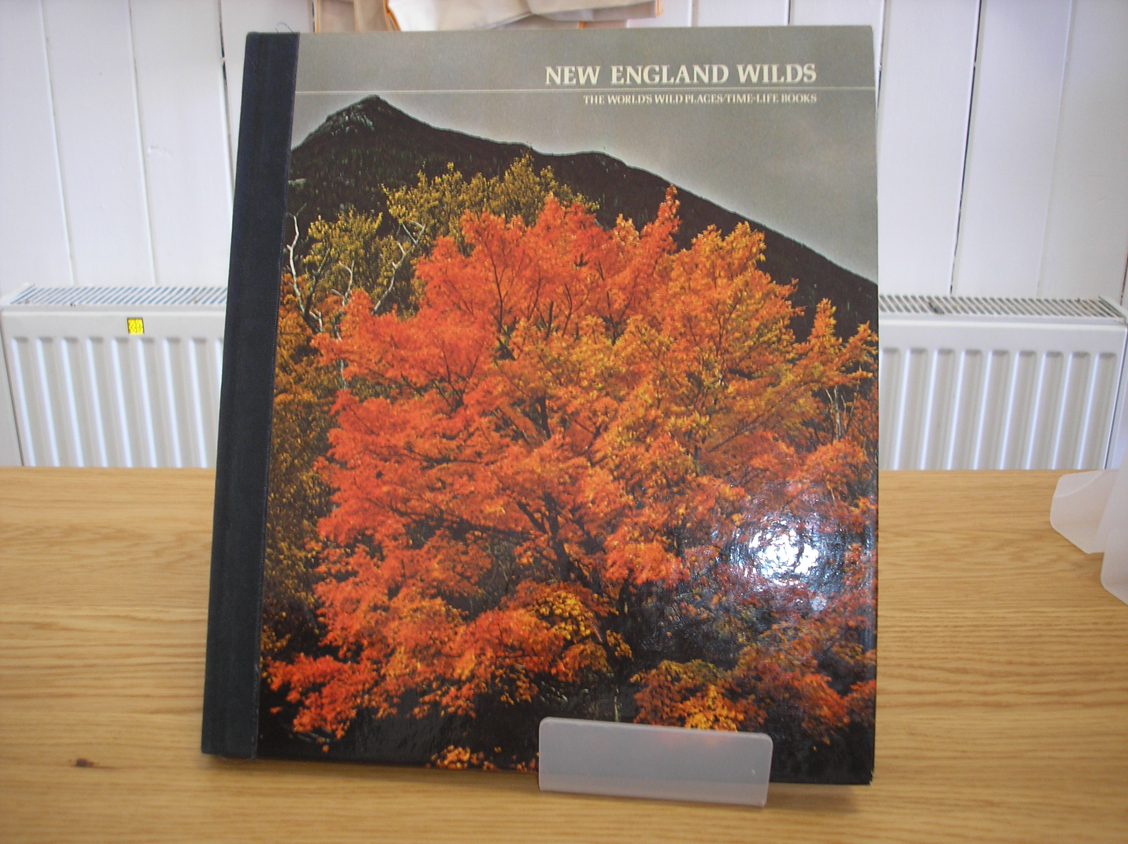 Image 0 of New England Wilds