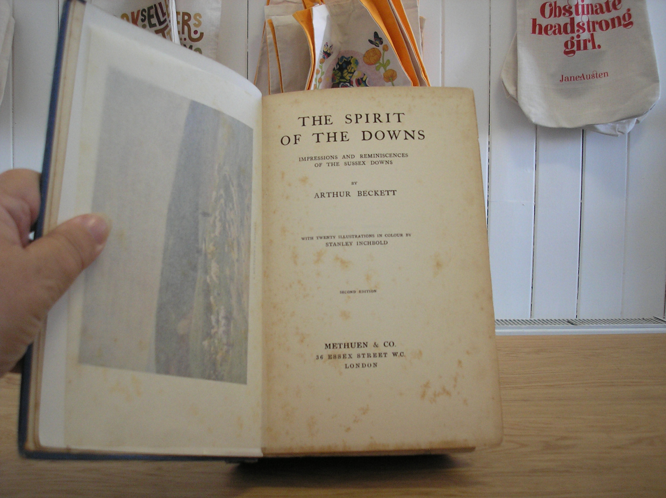 Image 0 of The Spirit Of The Downs