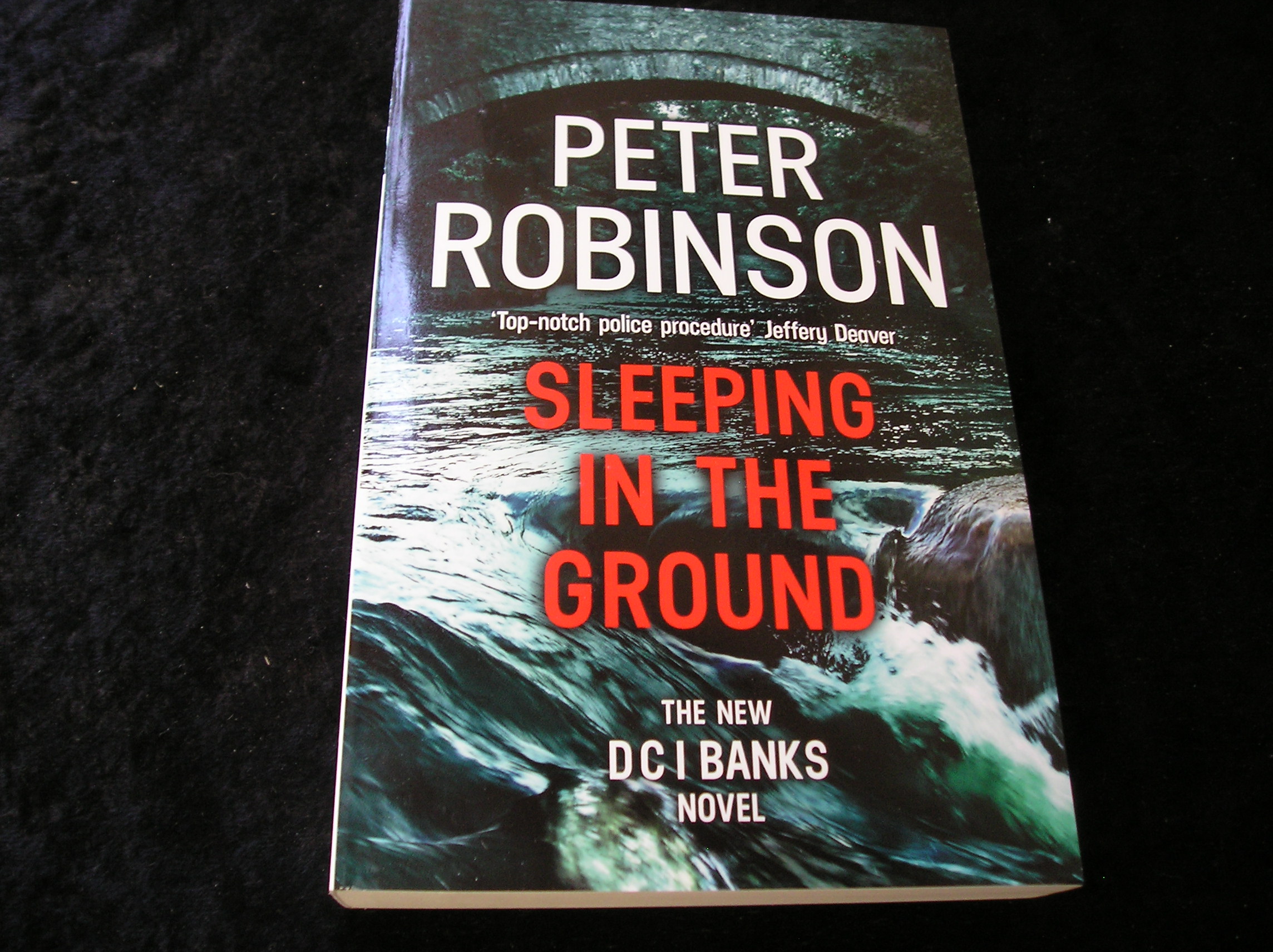 Image 0 of Sleeping In The Ground