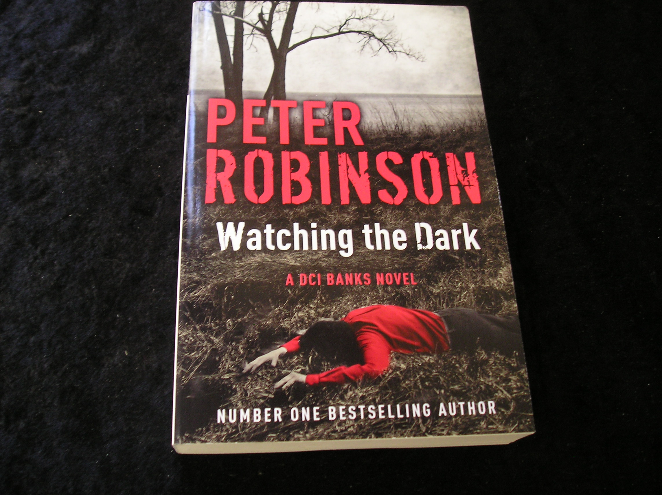 Image 0 of Watching The Dark
