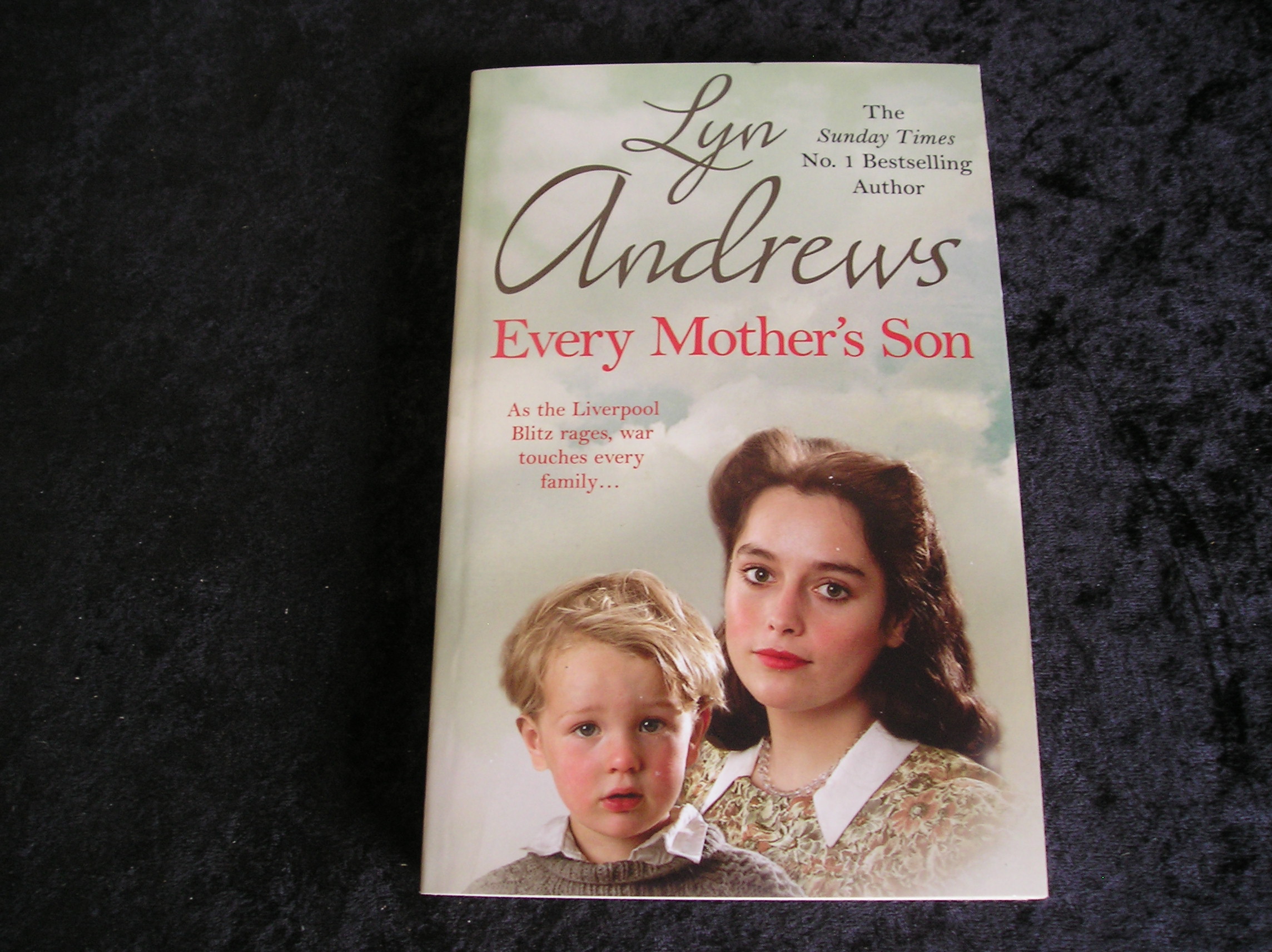 Image 0 of Every Mother's Son