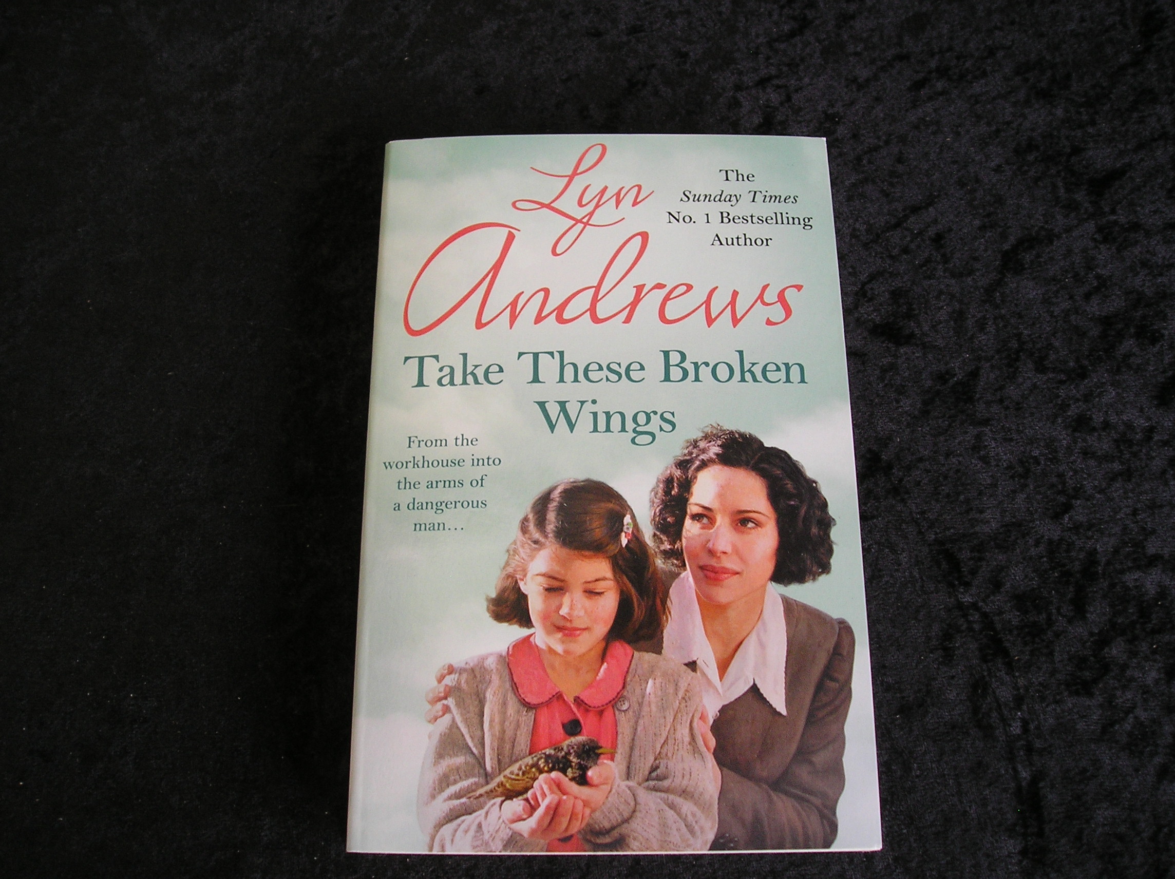 Image 0 of Take These Broken Wings