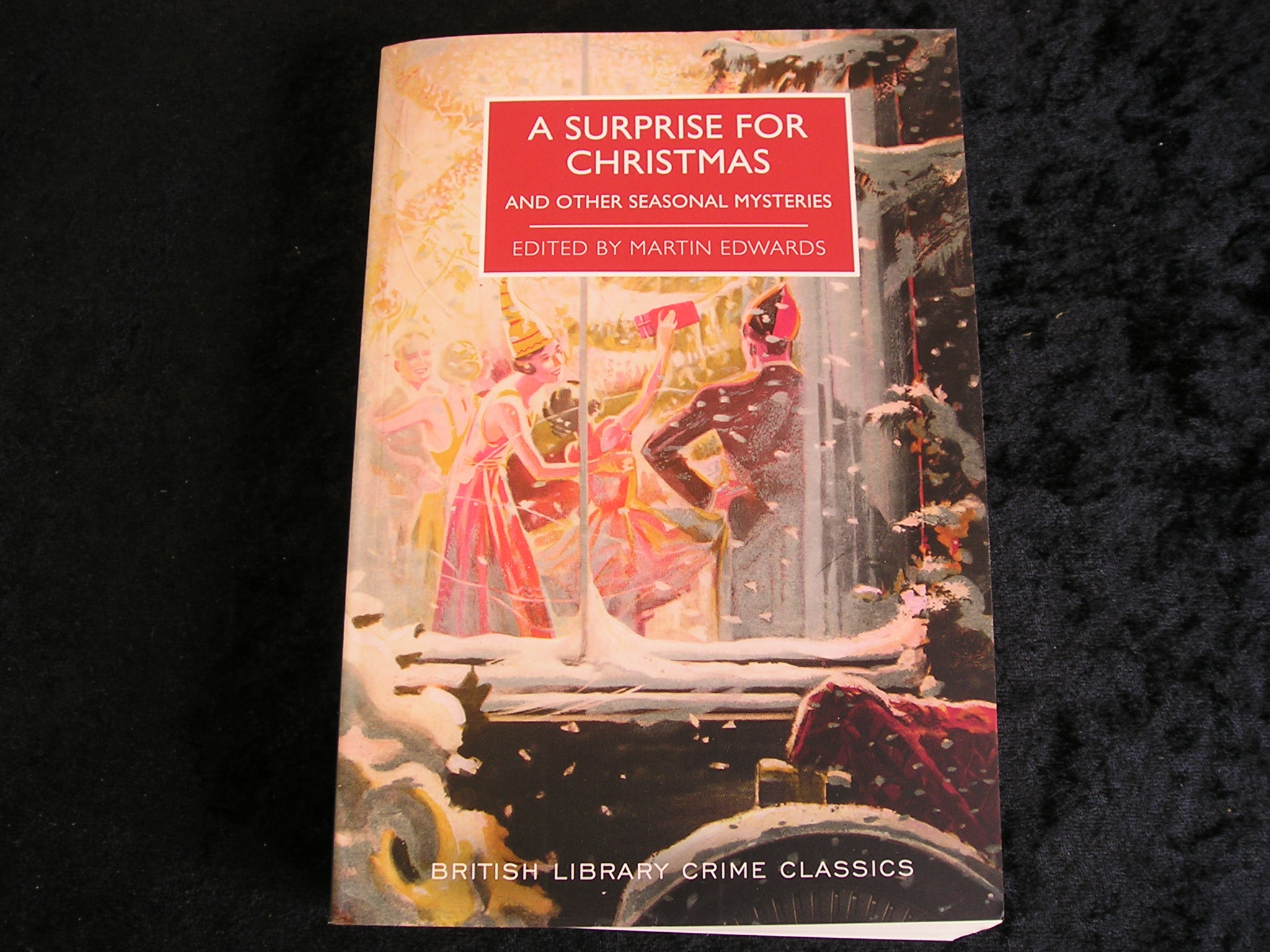 Image 0 of A Surprise for Christmas