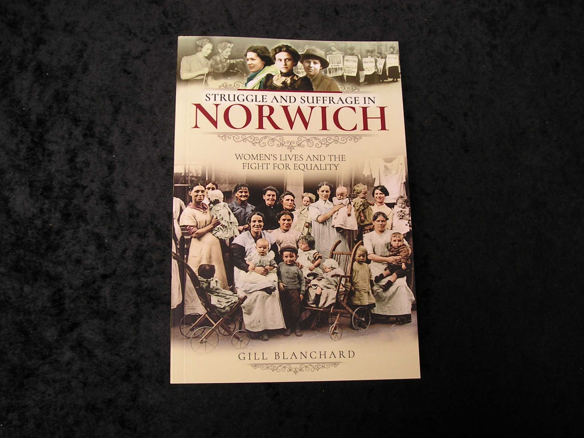 Image 0 of Struggle and Suffrage in Norwich