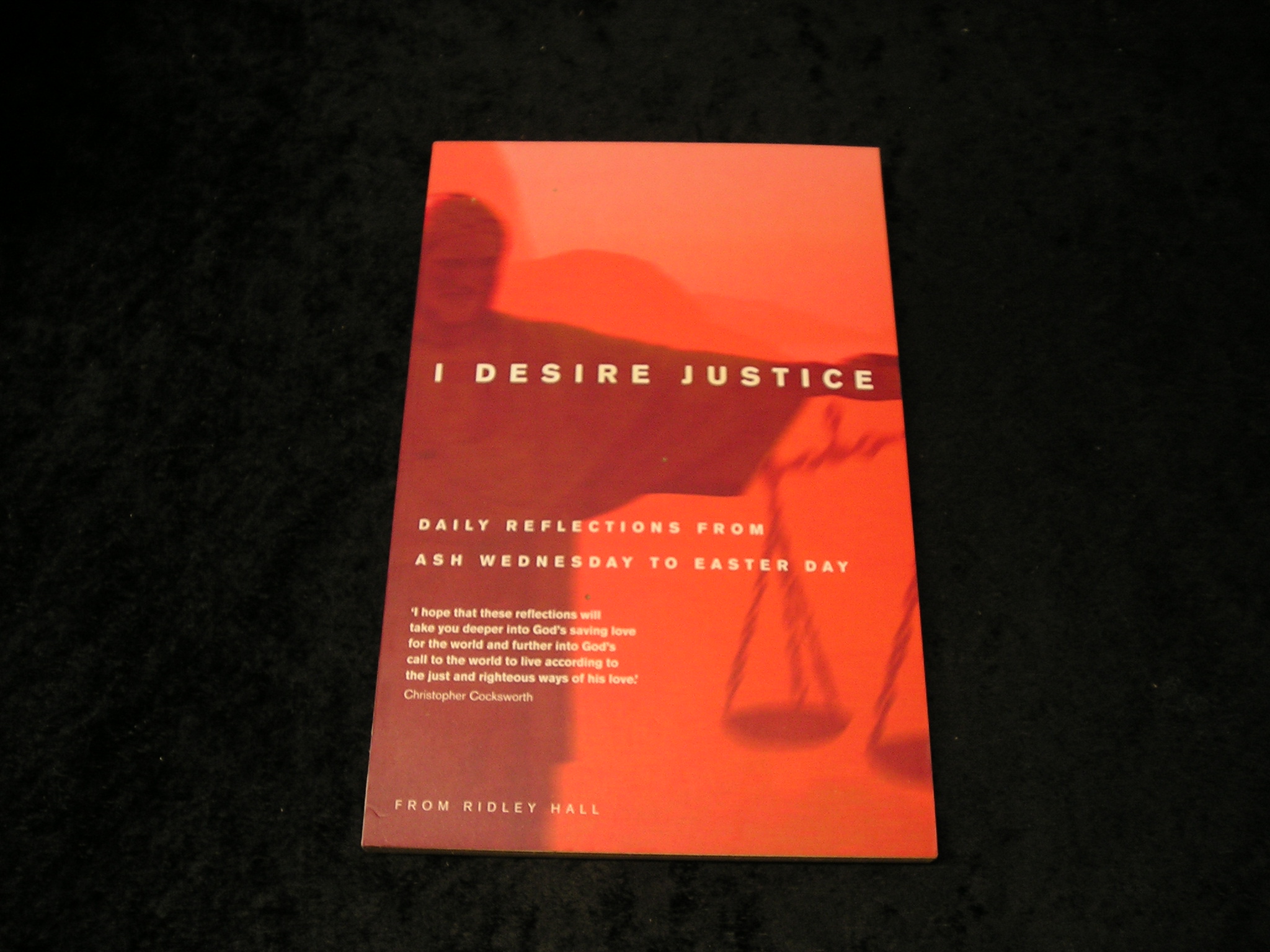 Image 0 of I Desire Justice