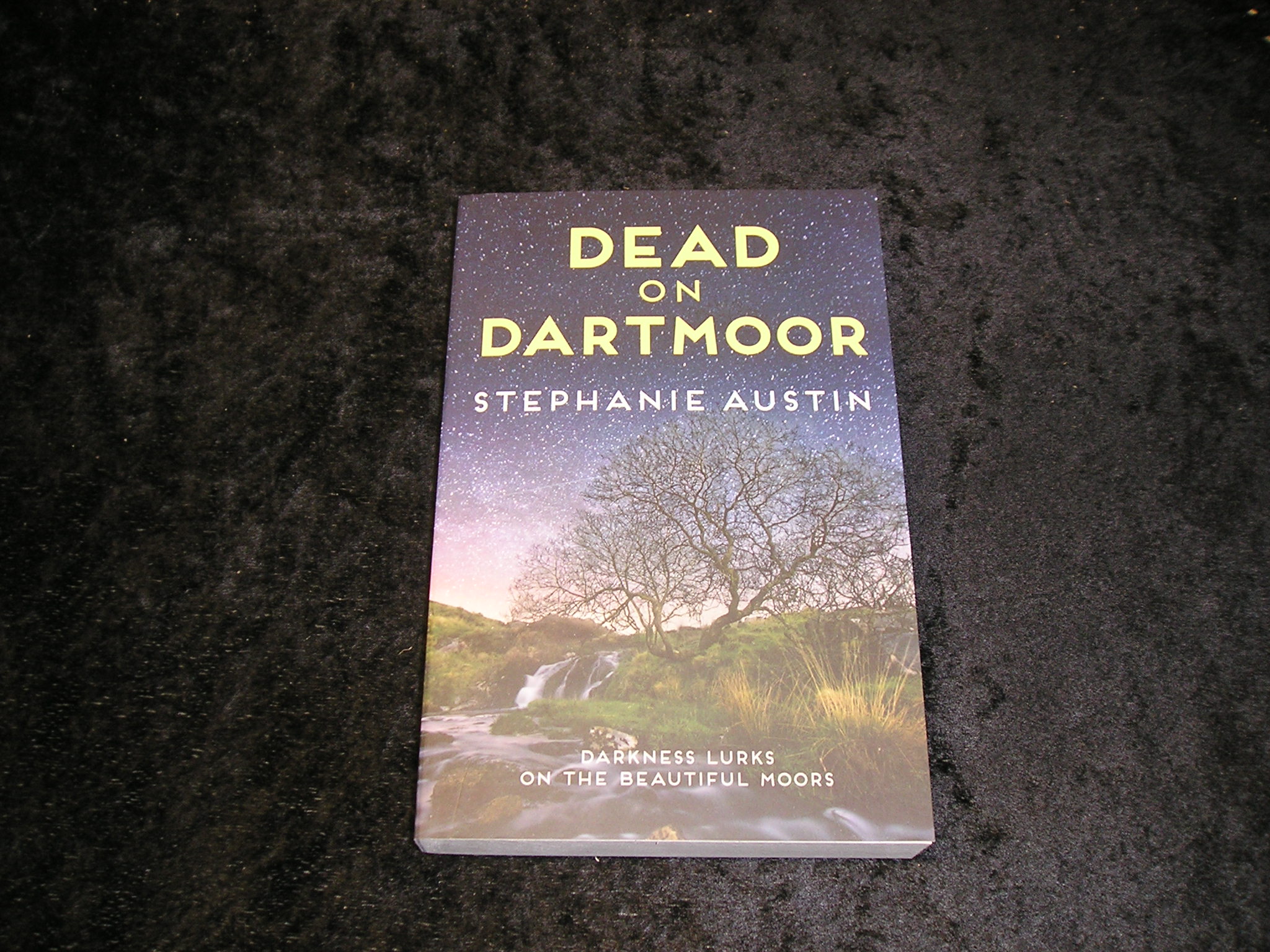 Image 0 of Dead on Dartmoor