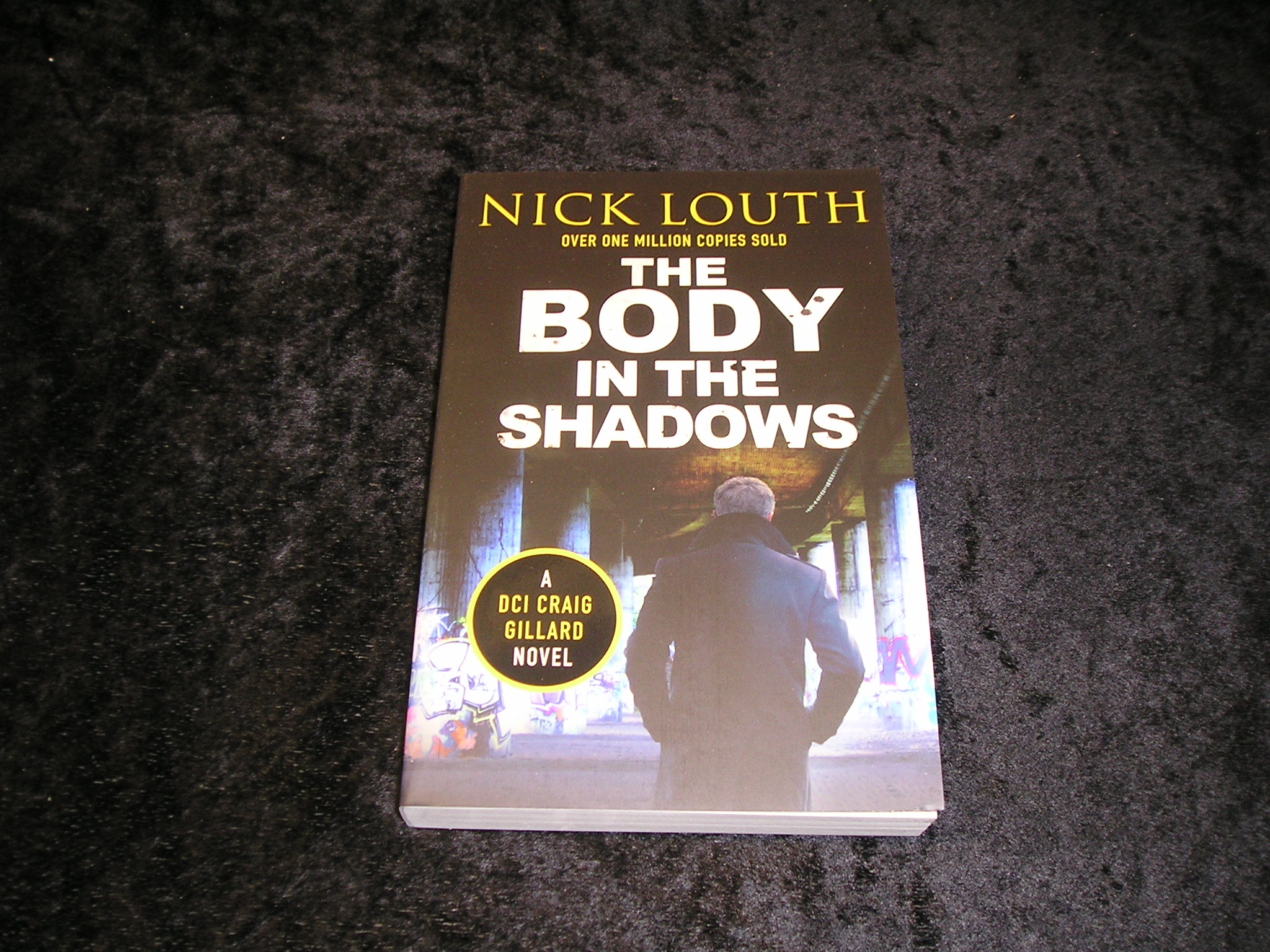 Image 0 of The Body in the Shadows